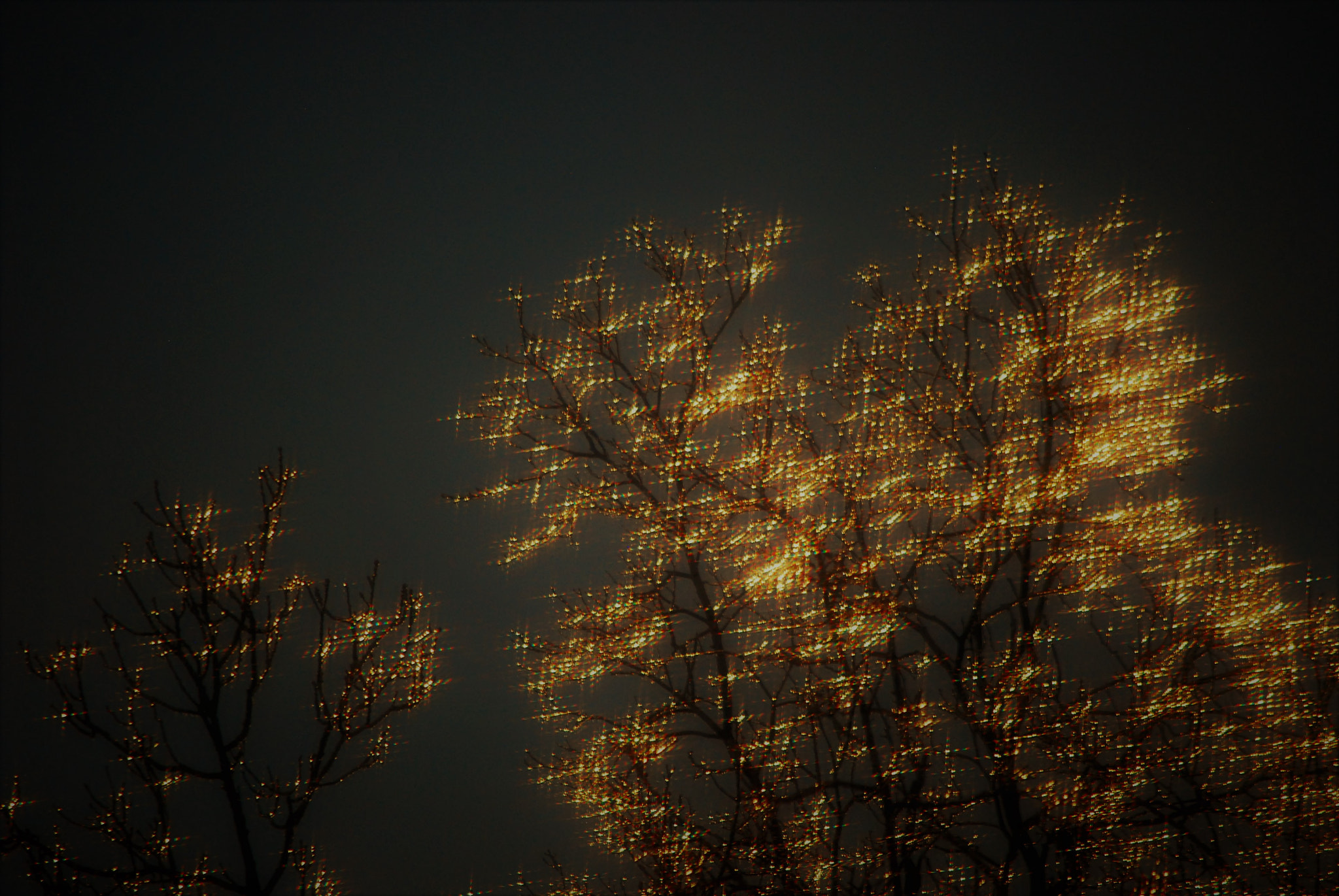 Nikon D60 sample photo. The diamond tree - sunrise after icy rain. photography