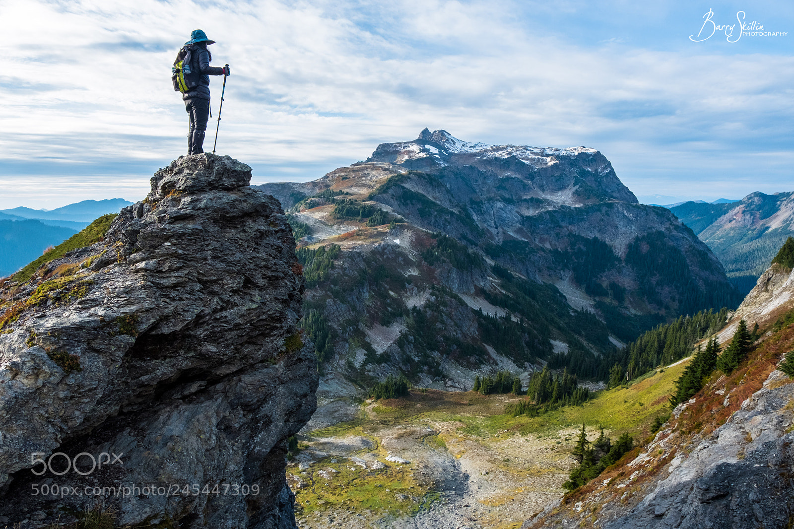 Fujifilm X-T2 sample photo. Yellow aster butte, washington photography