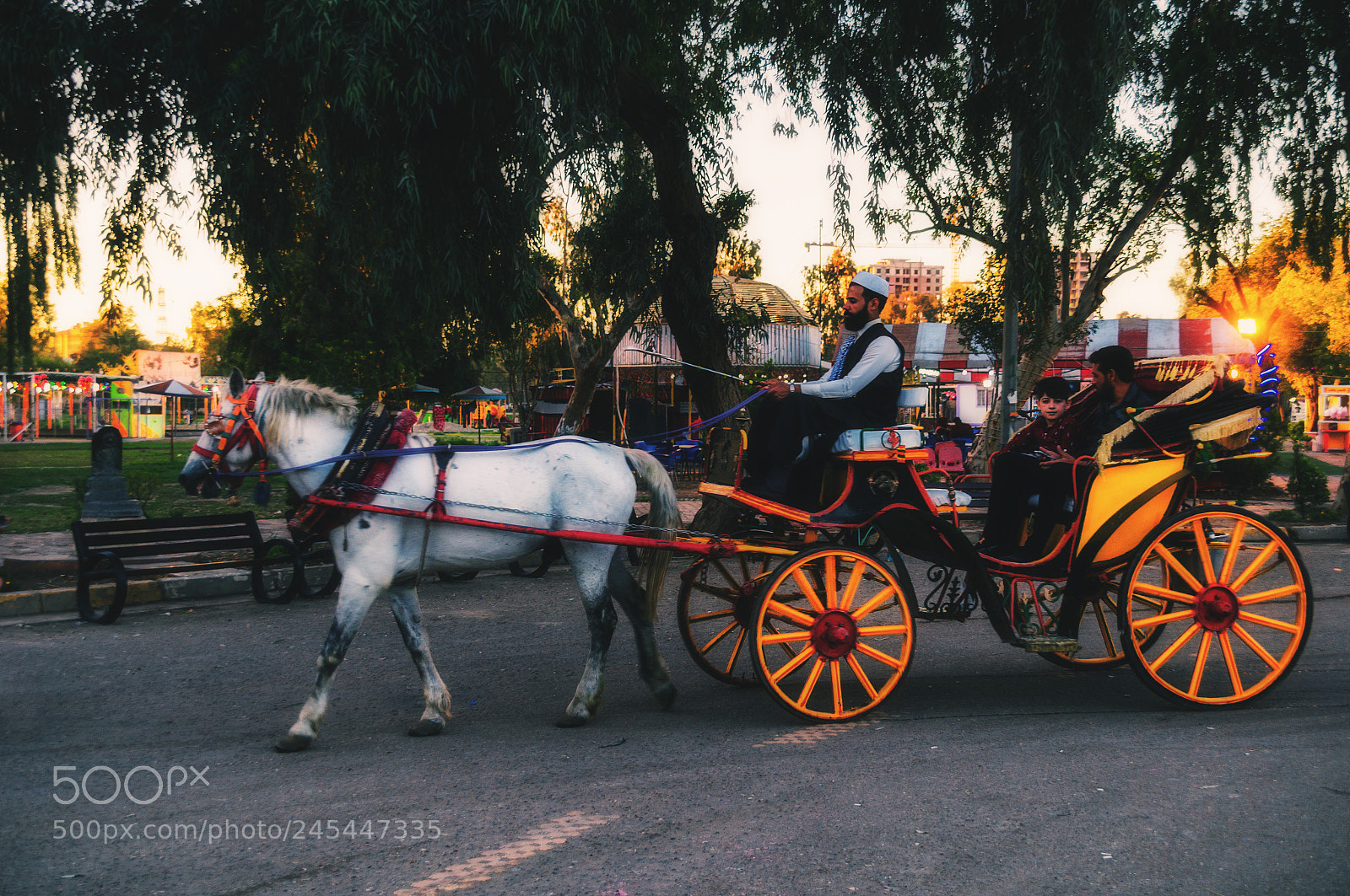Sony SLT-A57 sample photo. Riding cart in the photography
