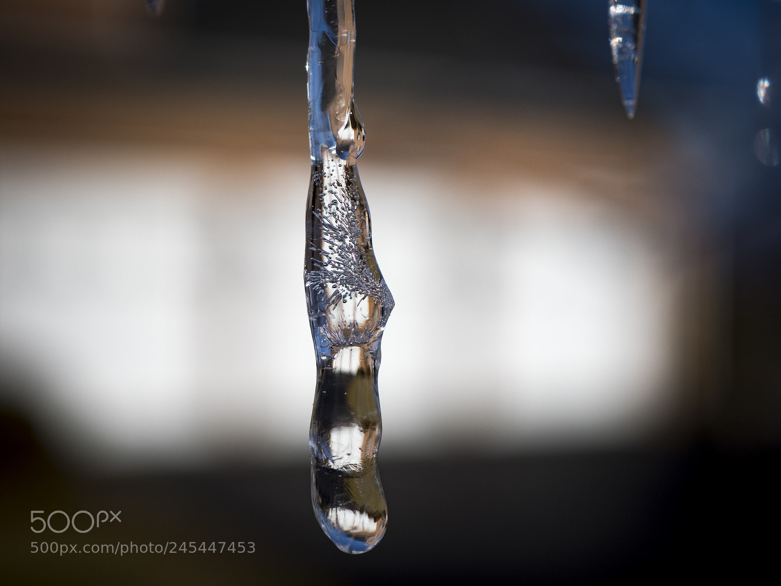 Olympus OM-D E-M1 Mark II sample photo. Ice photography