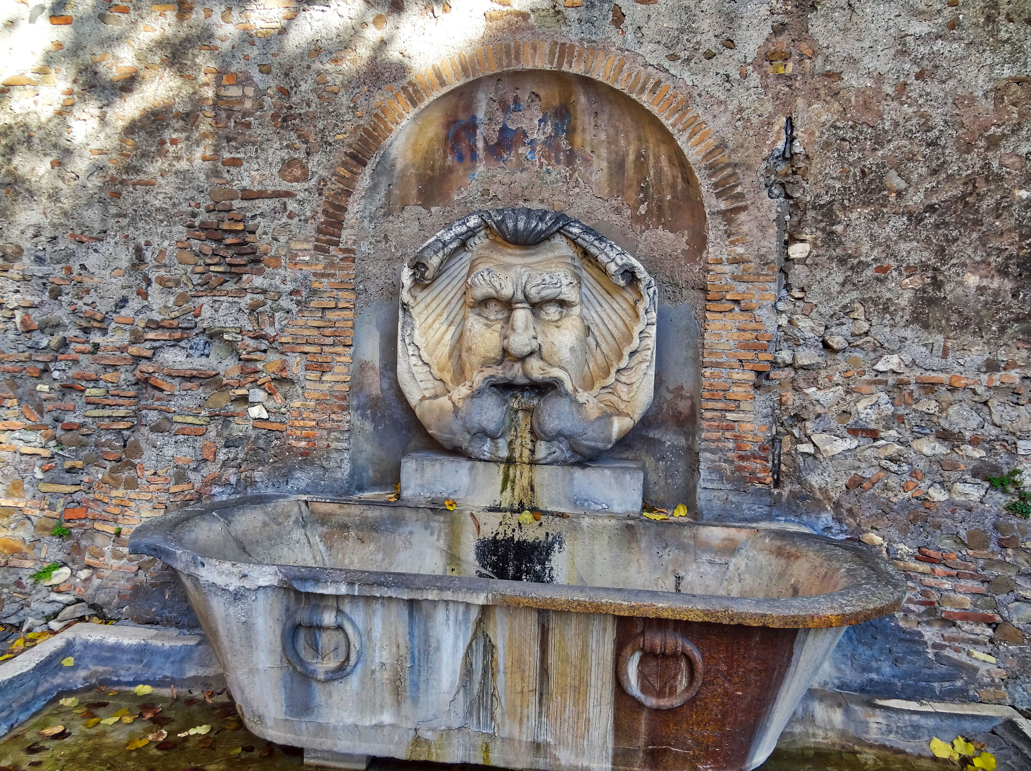 Sony Cyber-shot DSC-HX10V sample photo. Orange garden fountain - rome photography