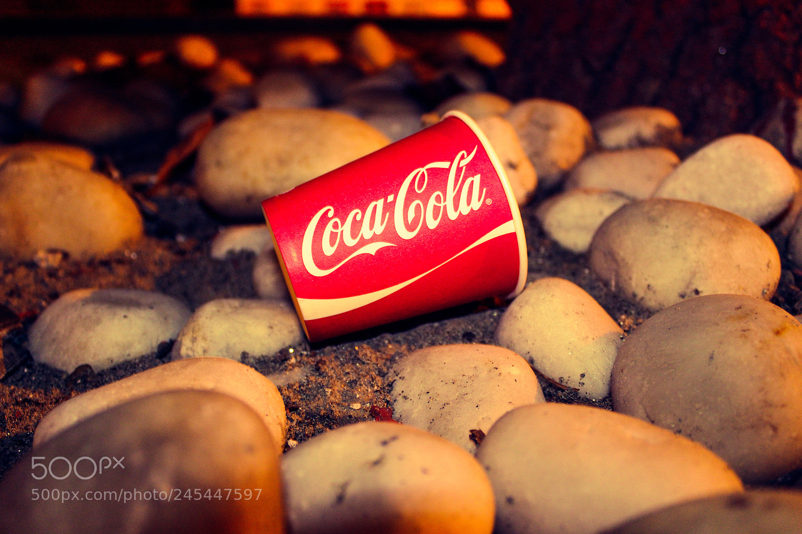 Canon EOS 1300D (EOS Rebel T6 / EOS Kiss X80) sample photo. Coca cola college night photography