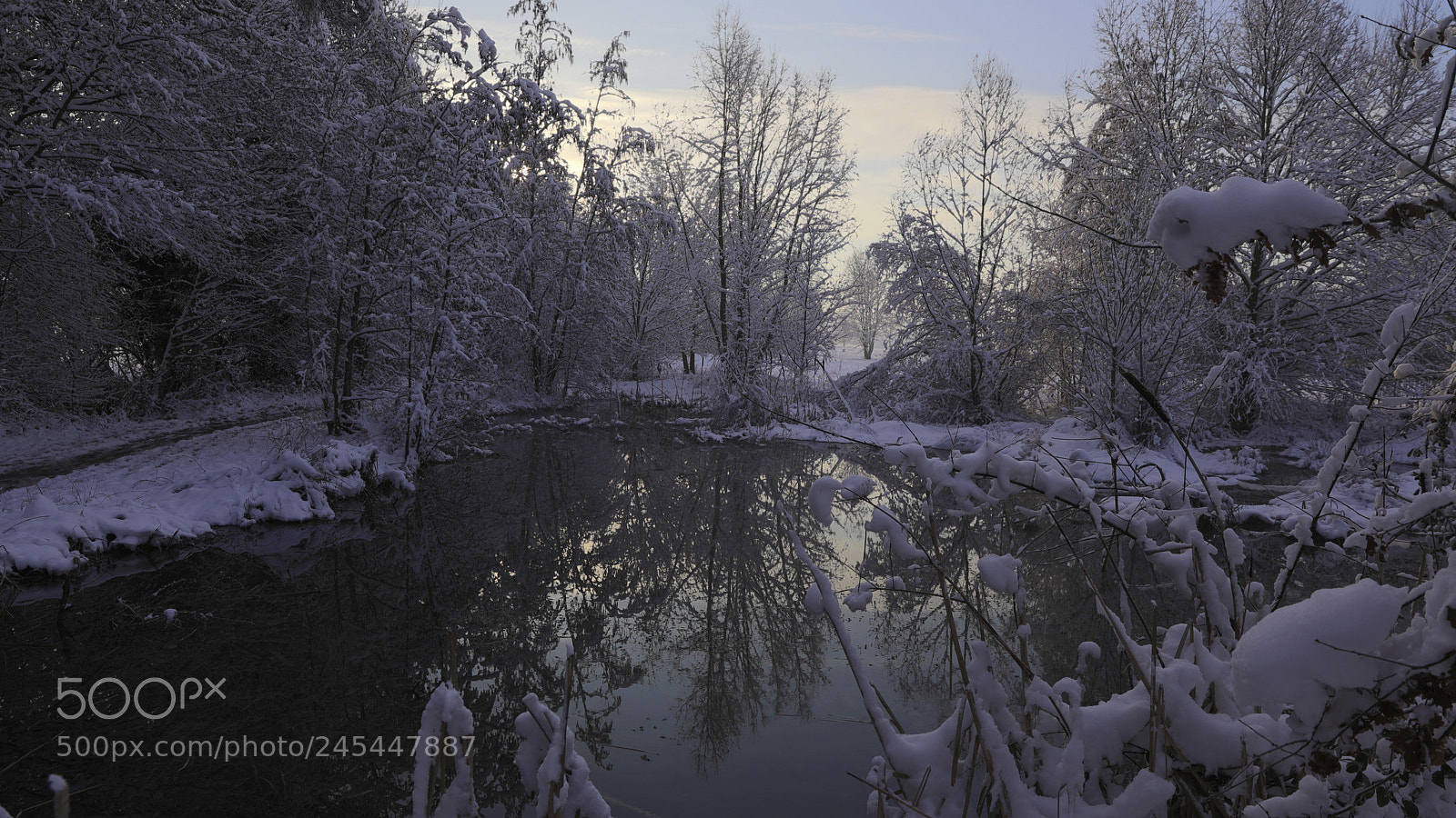 Canon EF 24-70mm F2.8L II USM sample photo. Seine et marne photography