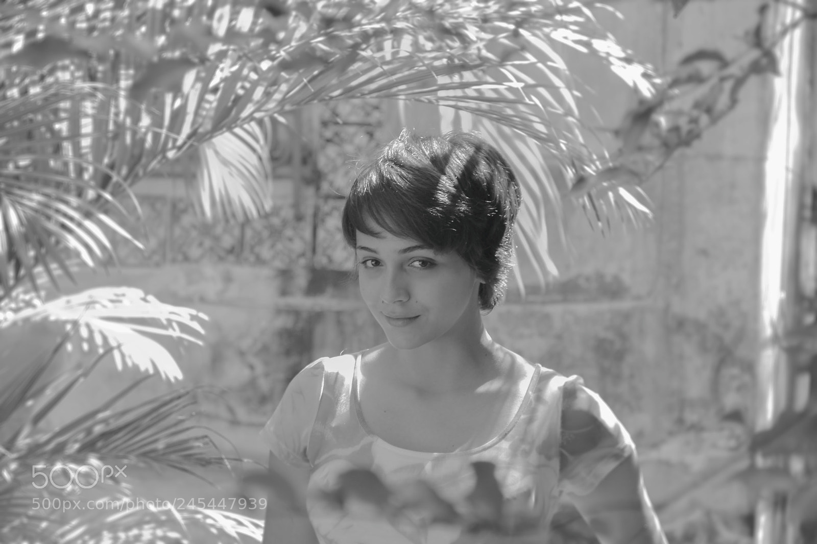 Canon EOS 60D sample photo. I once knew a photography