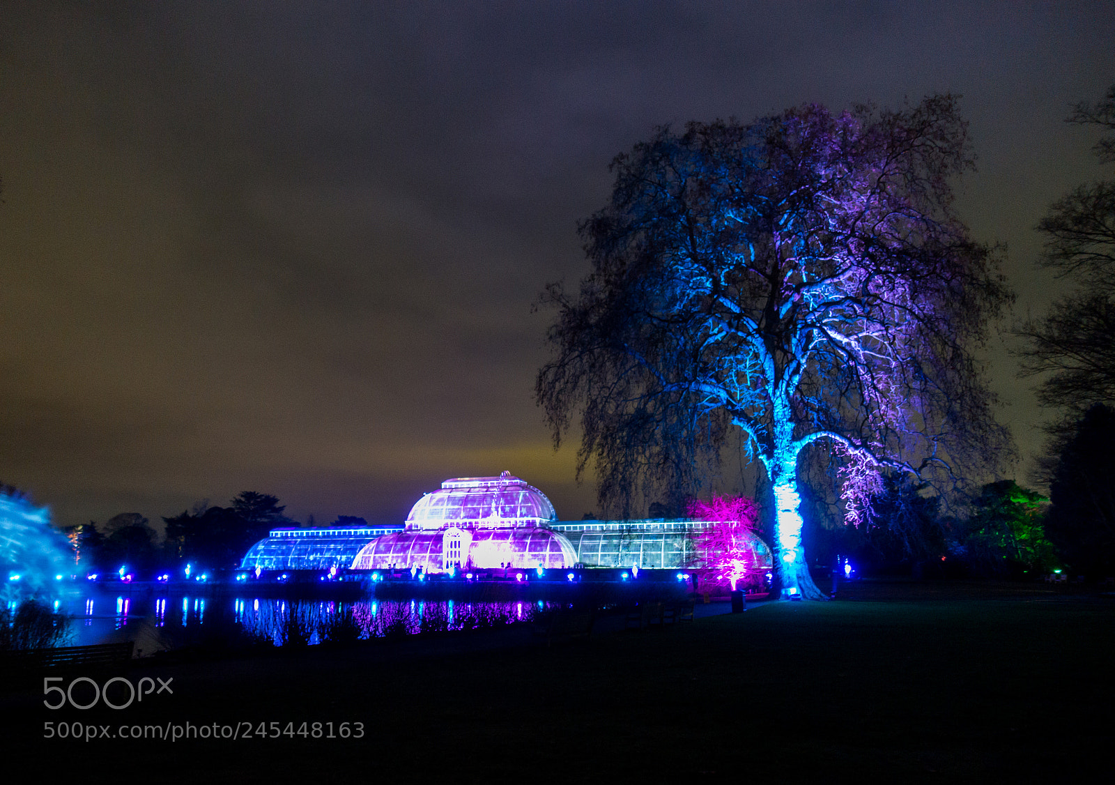 Sony Cyber-shot DSC-RX100 III sample photo. Christmas at kew photography