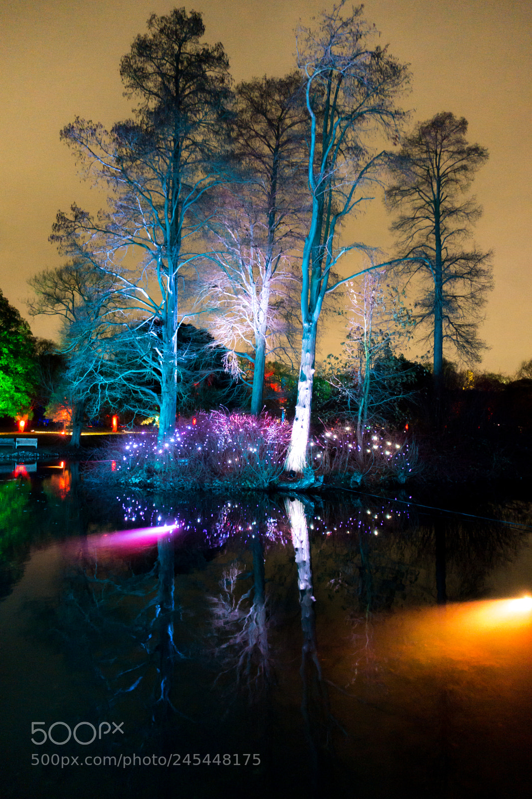 Sony Cyber-shot DSC-RX100 III sample photo. Christmas at kew photography