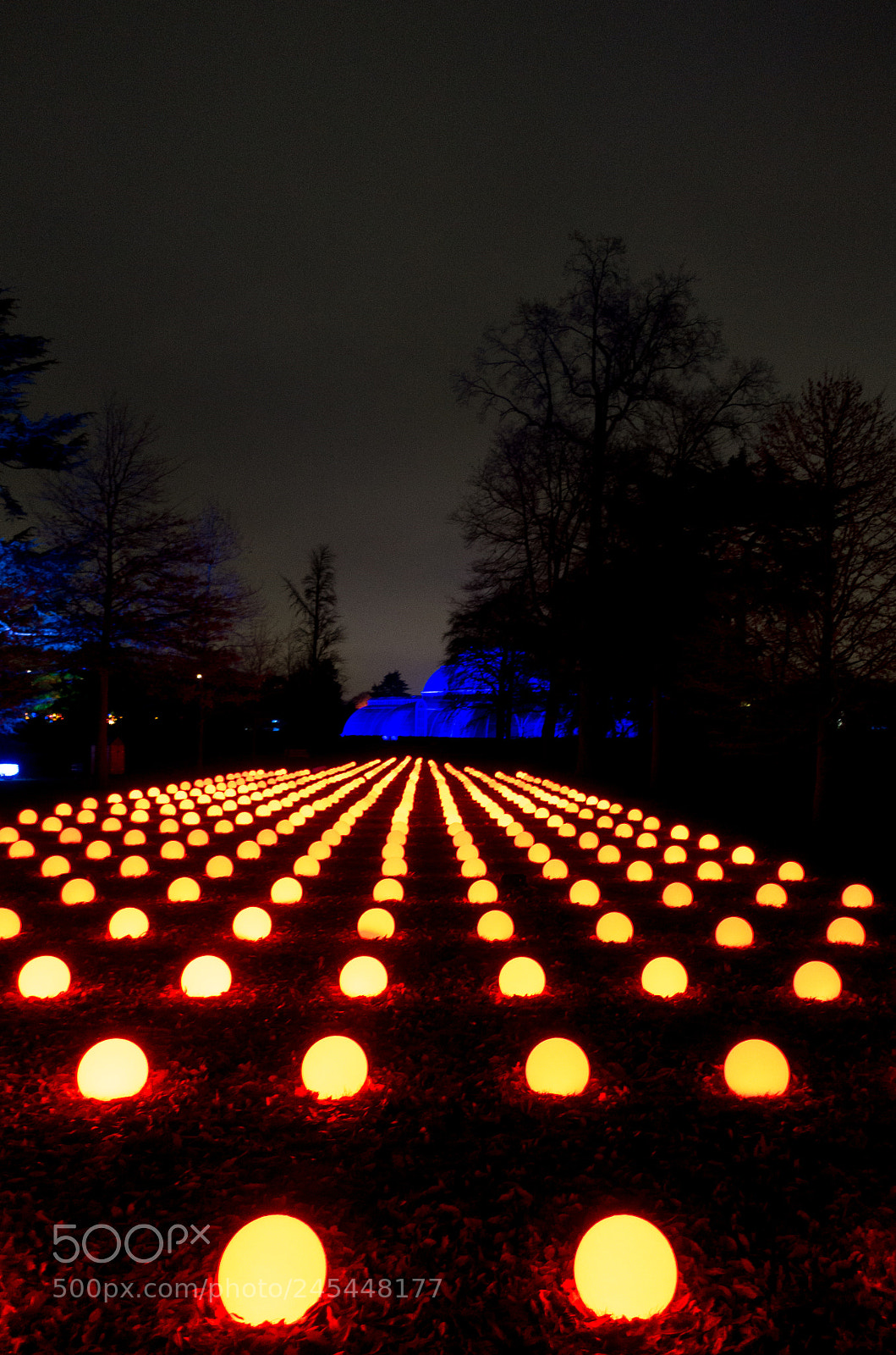 Sony Cyber-shot DSC-RX100 III sample photo. Christmas at kew photography