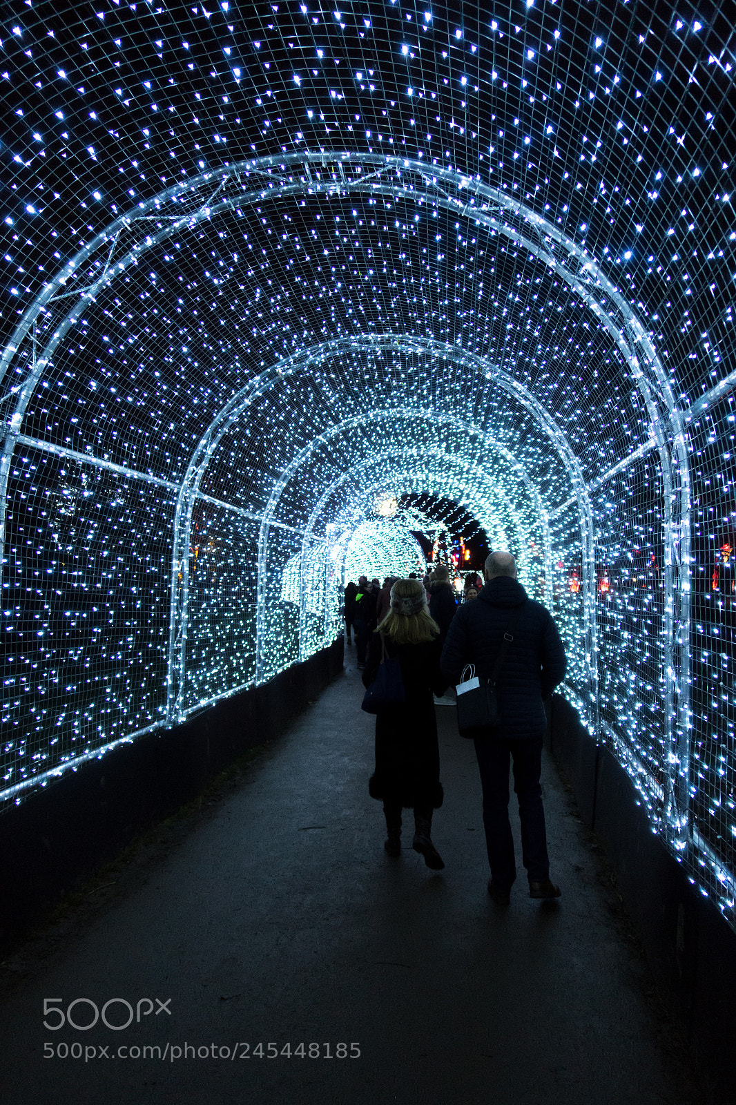 Sony Cyber-shot DSC-RX100 III sample photo. Christmas at kew- light photography