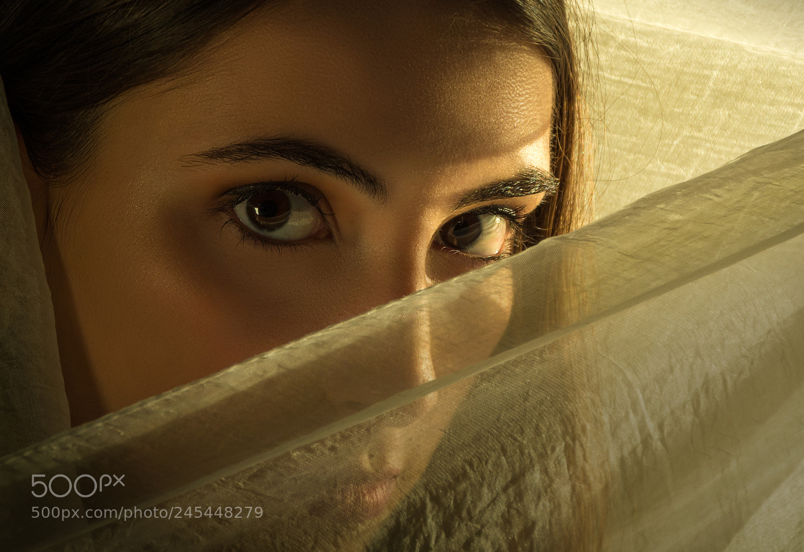 Nikon D7100 sample photo. Carolina photography