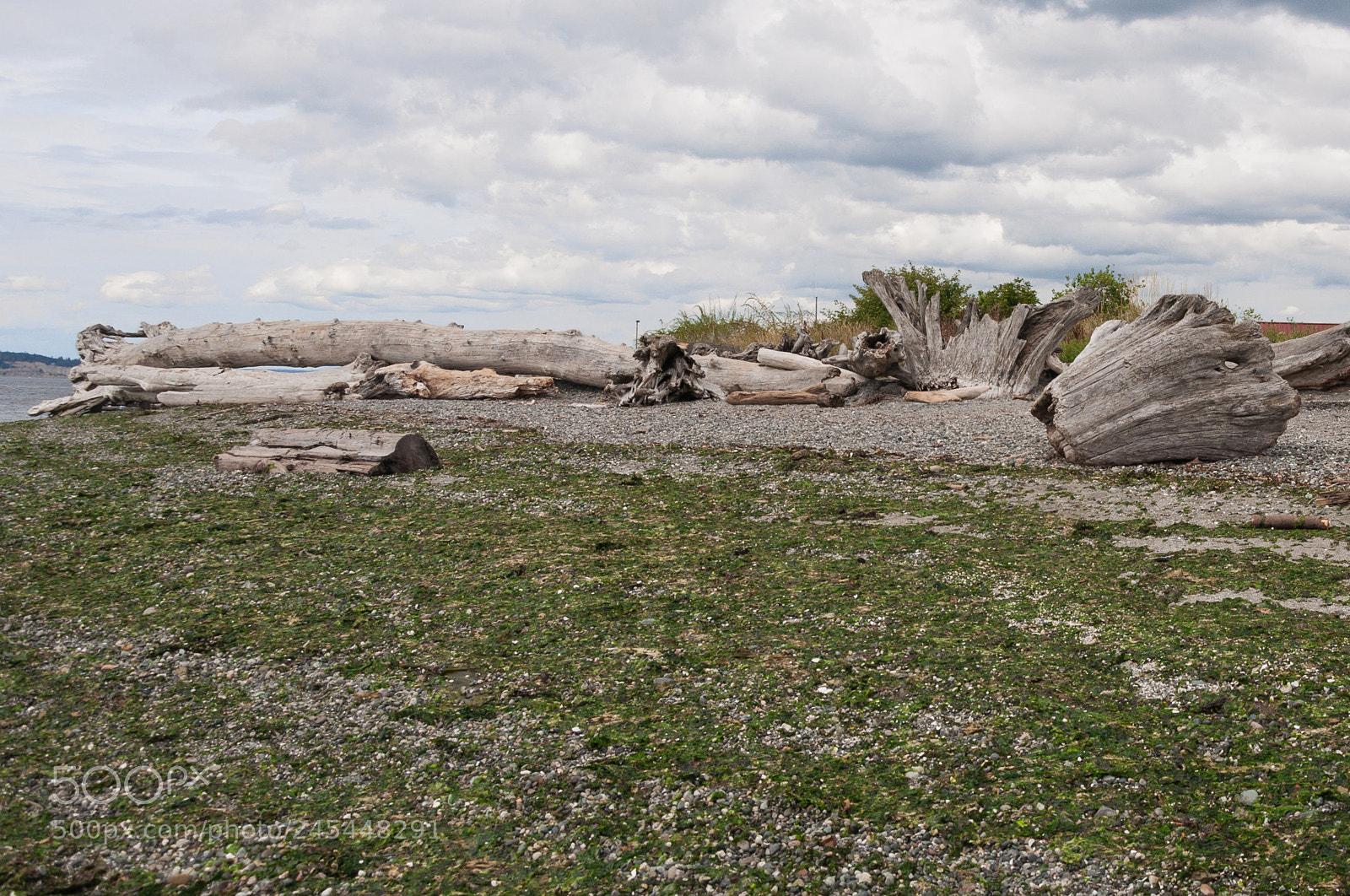 Nikon D90 sample photo. Woods, peble and seaweed photography
