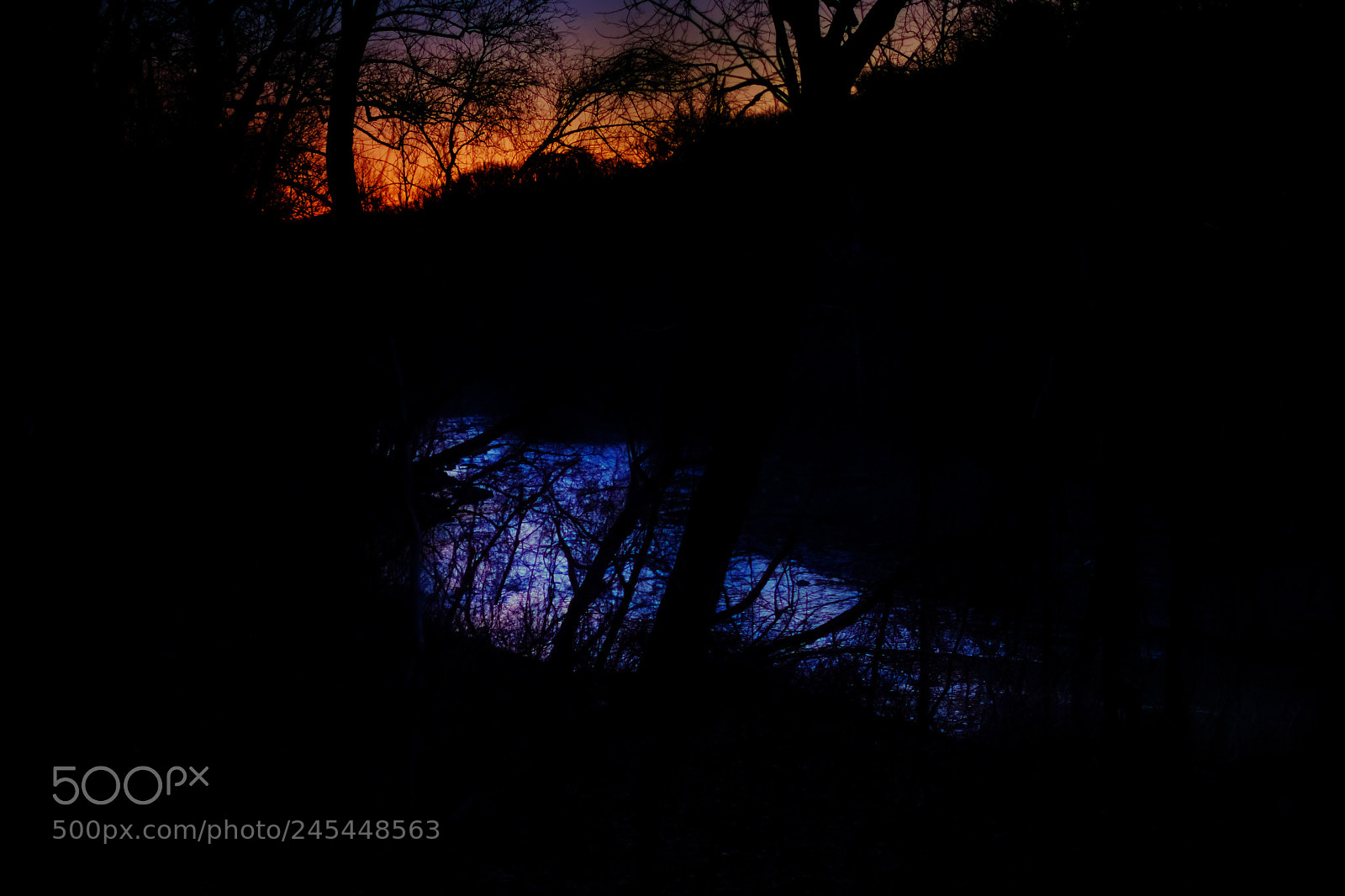 Fujifilm X-Pro2 sample photo. Patapsco bend, end of photography