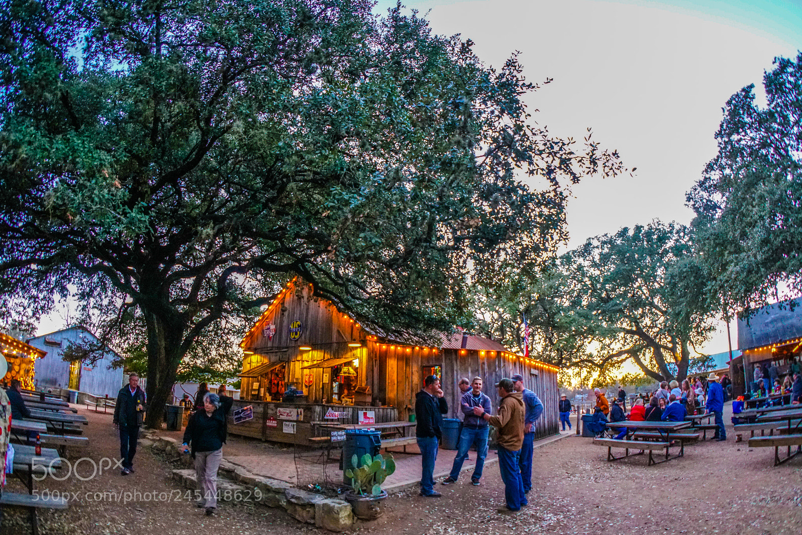 Sony a6500 sample photo. Luckenbach blues festival photography