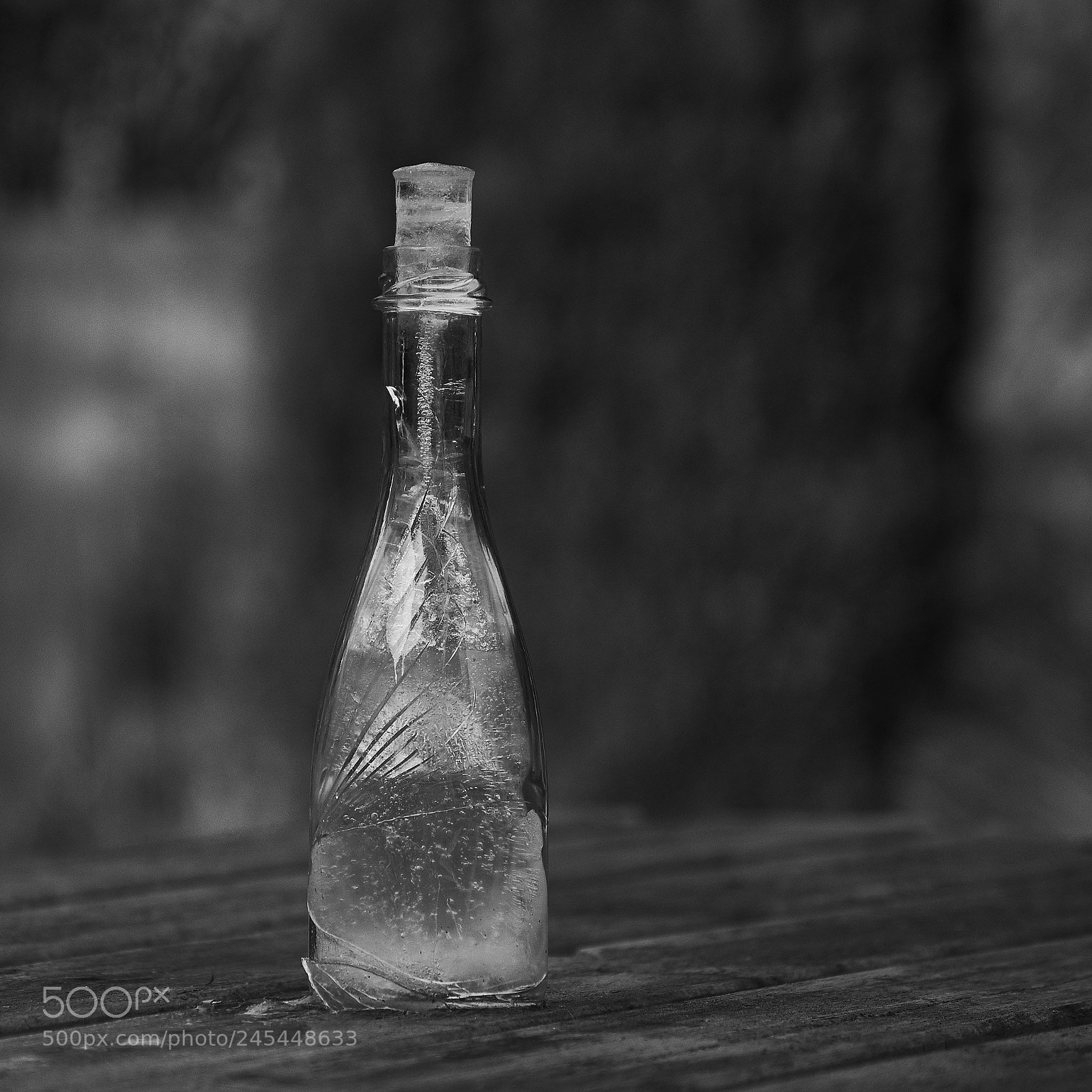 Nikon D7200 sample photo. Frozen and shattered photography
