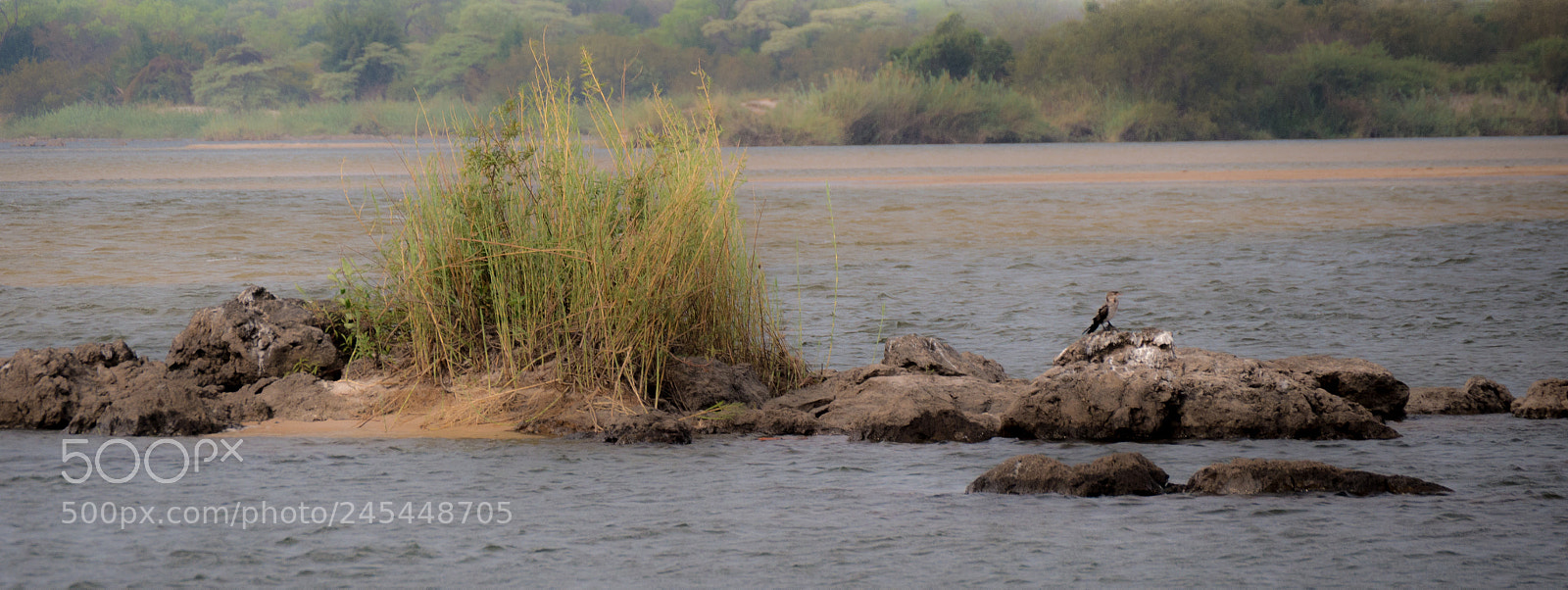 Panasonic DMC-G70 sample photo. Okavango river botswana photography