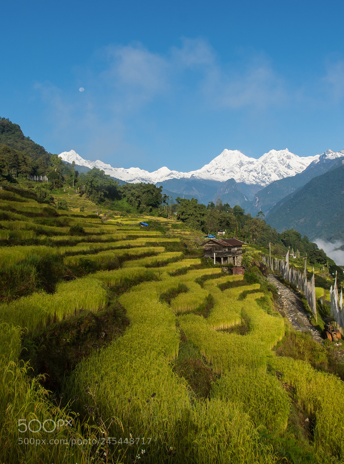 Nikon D7100 sample photo. Himalayan fields photography