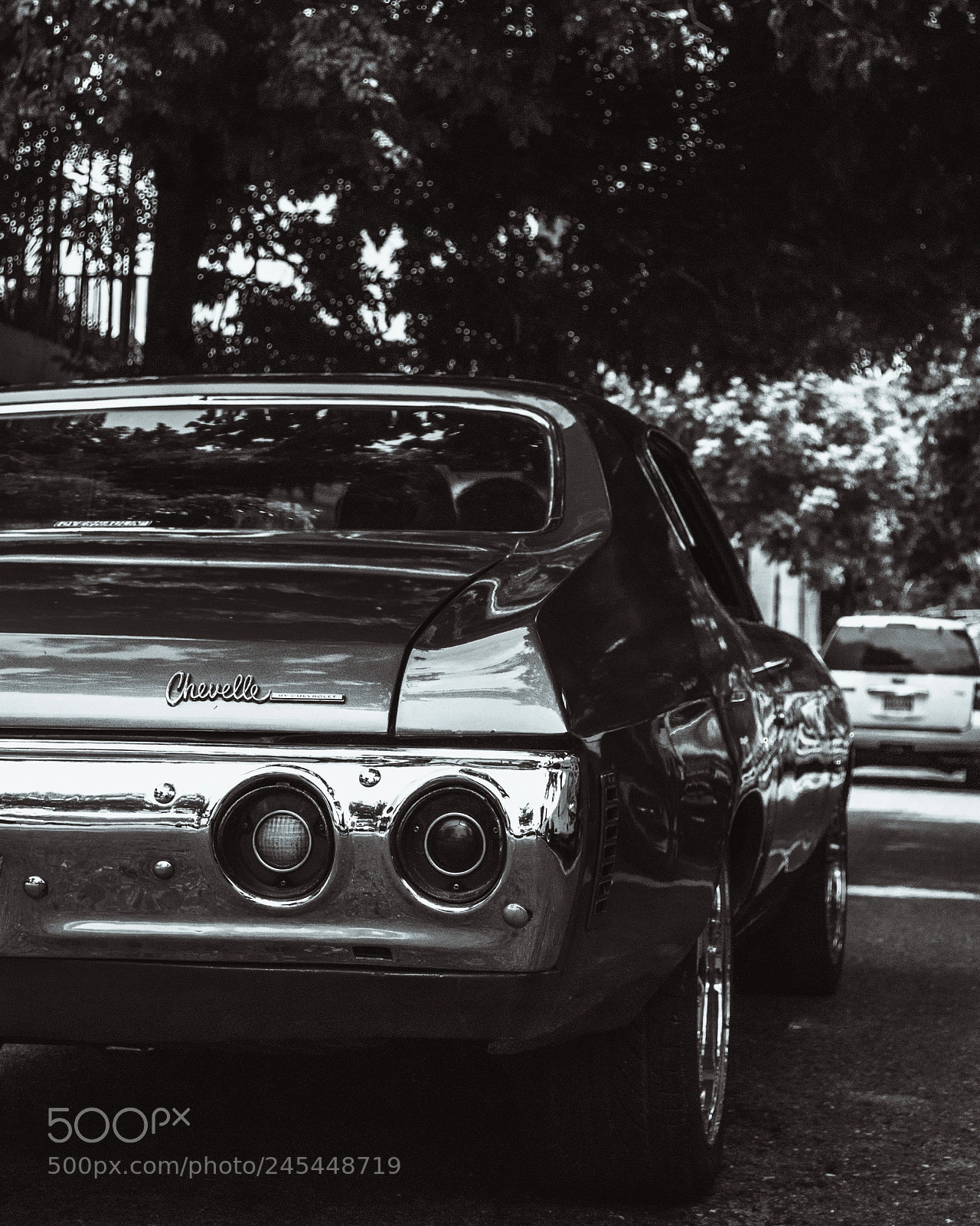 Nikon D80 sample photo. •chevelle power photography