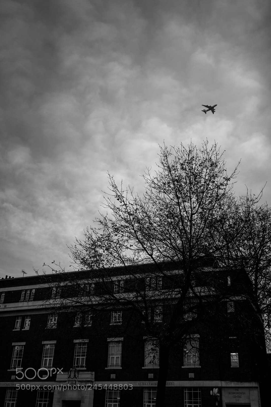 Sony a7R II sample photo. Untitled photography
