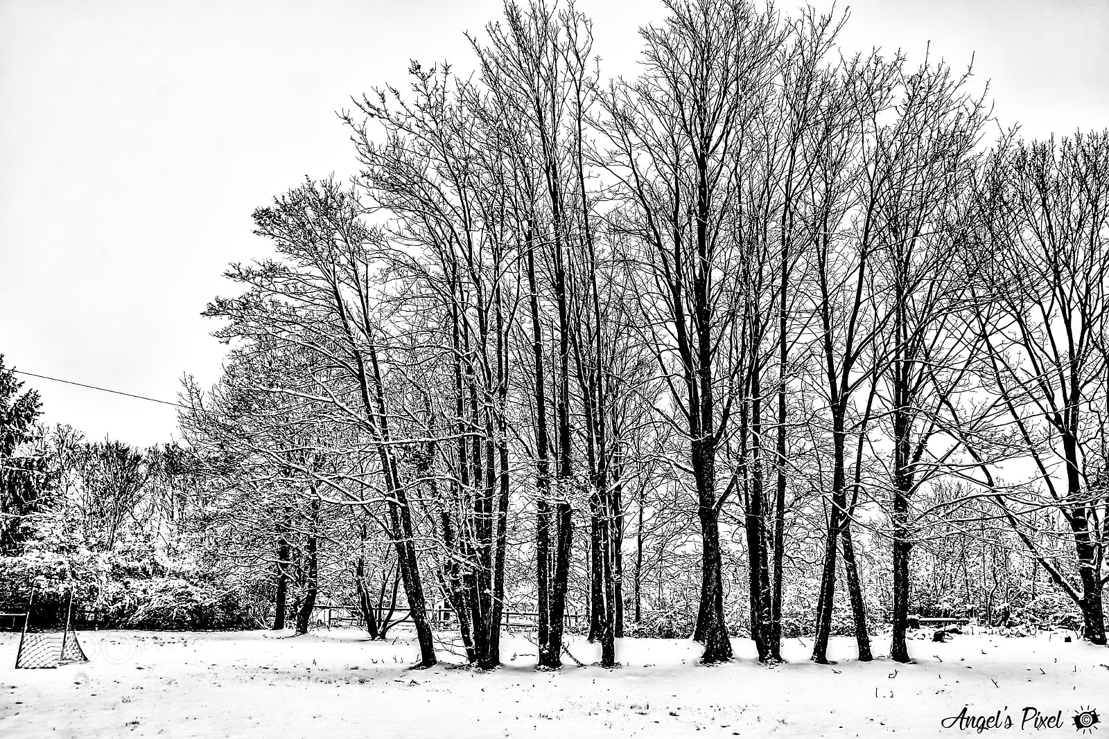 Nikon D7100 sample photo. Blanche neige - snow photography