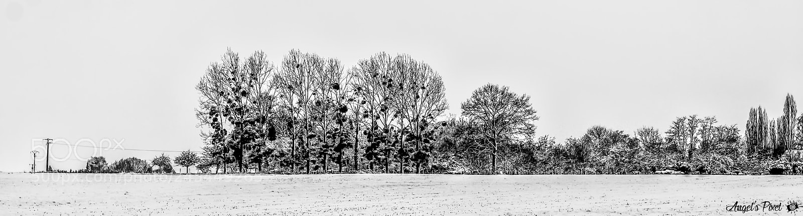 Nikon D7100 sample photo. Blanche neige - snow photography