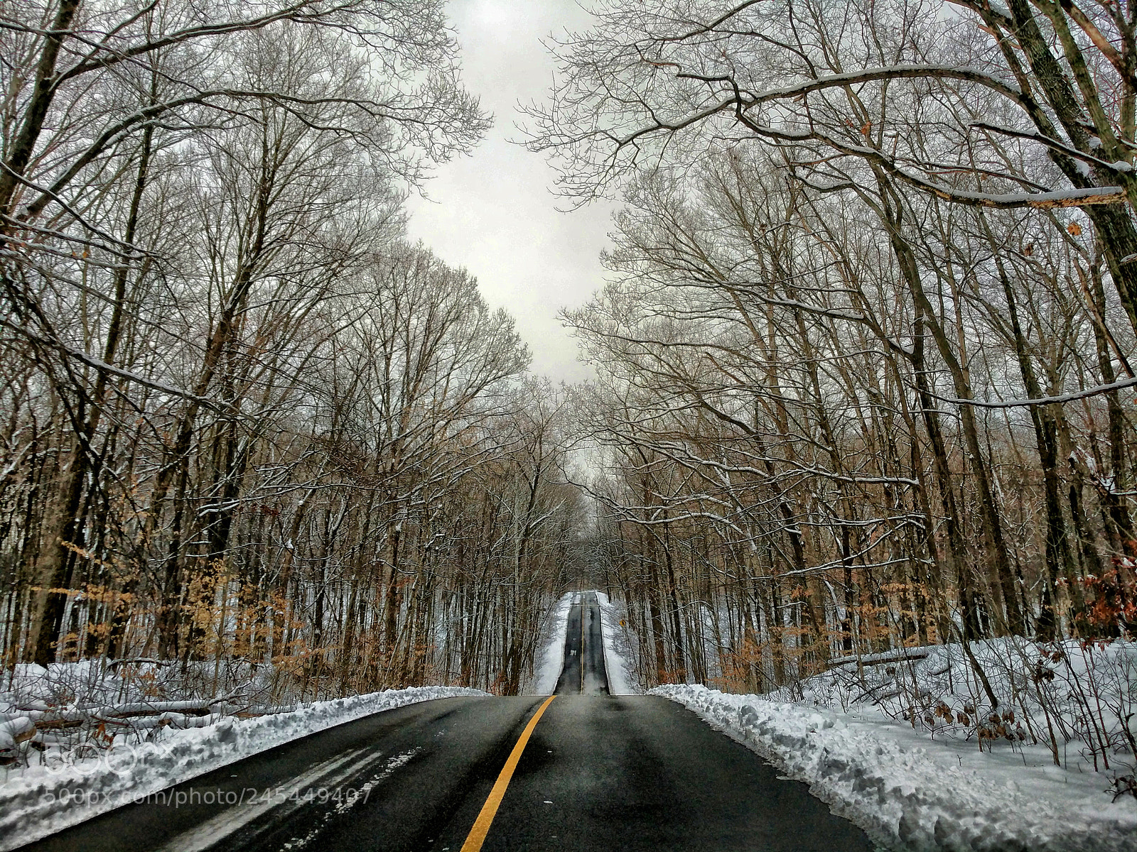 Google Pixel XL sample photo. Road in the woods photography