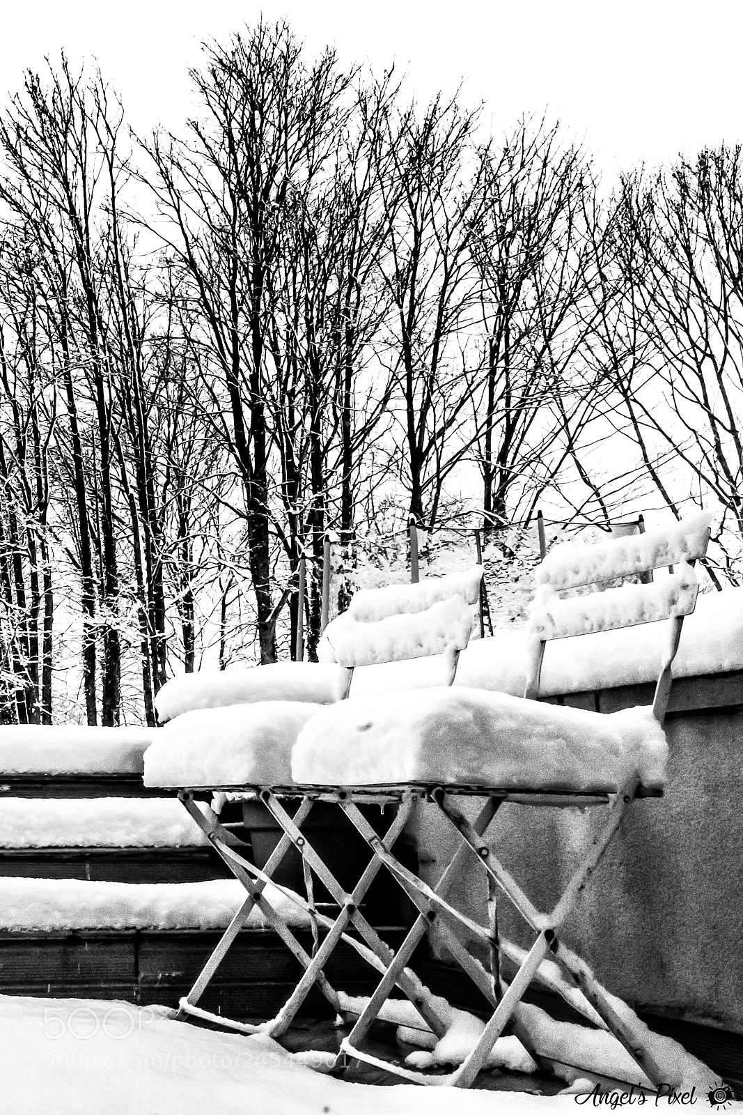 Nikon D7100 sample photo. Blanche neige - snow photography