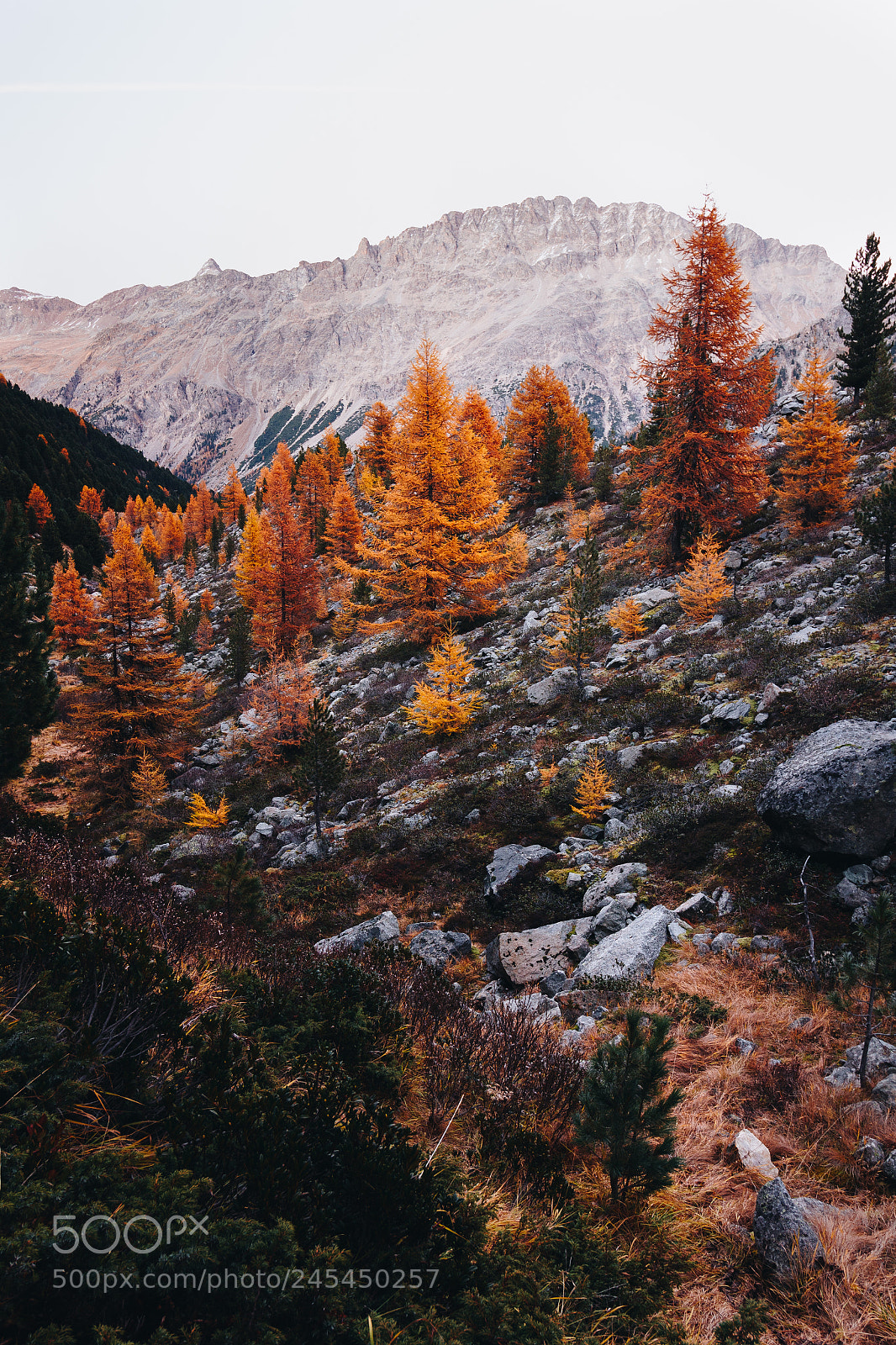 Canon EOS 60D sample photo. Fall in the mountains photography