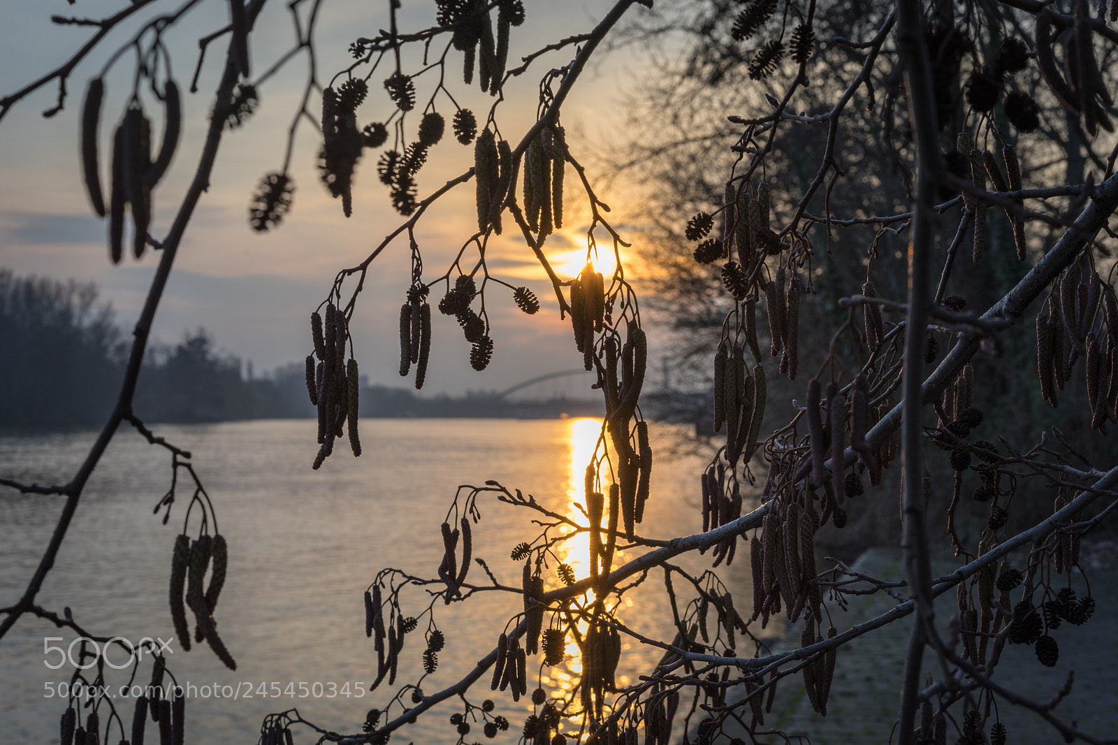 Sony a7 II sample photo. Sunset frankfurt photography