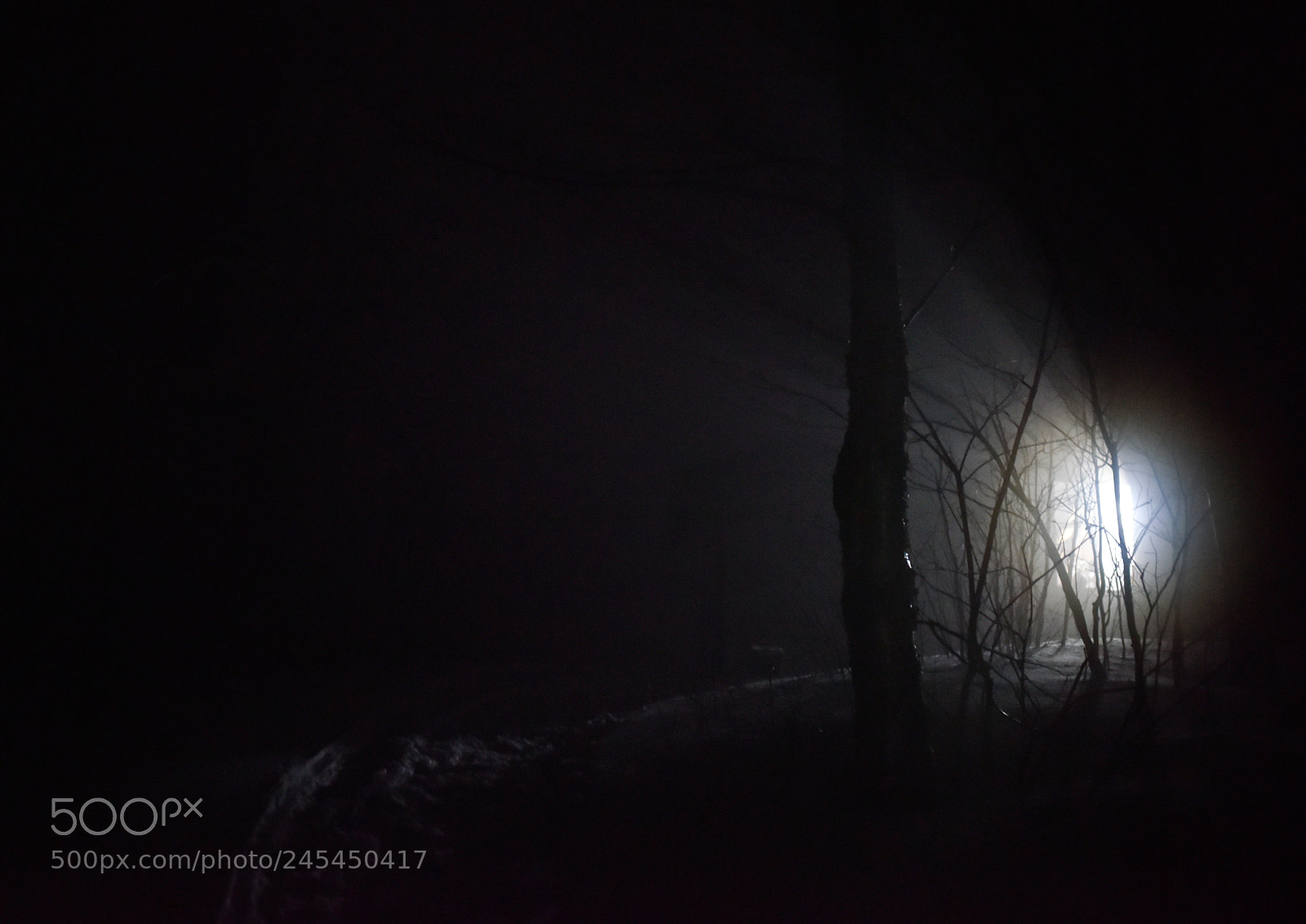 Nikon D810 sample photo. Follow the light photography