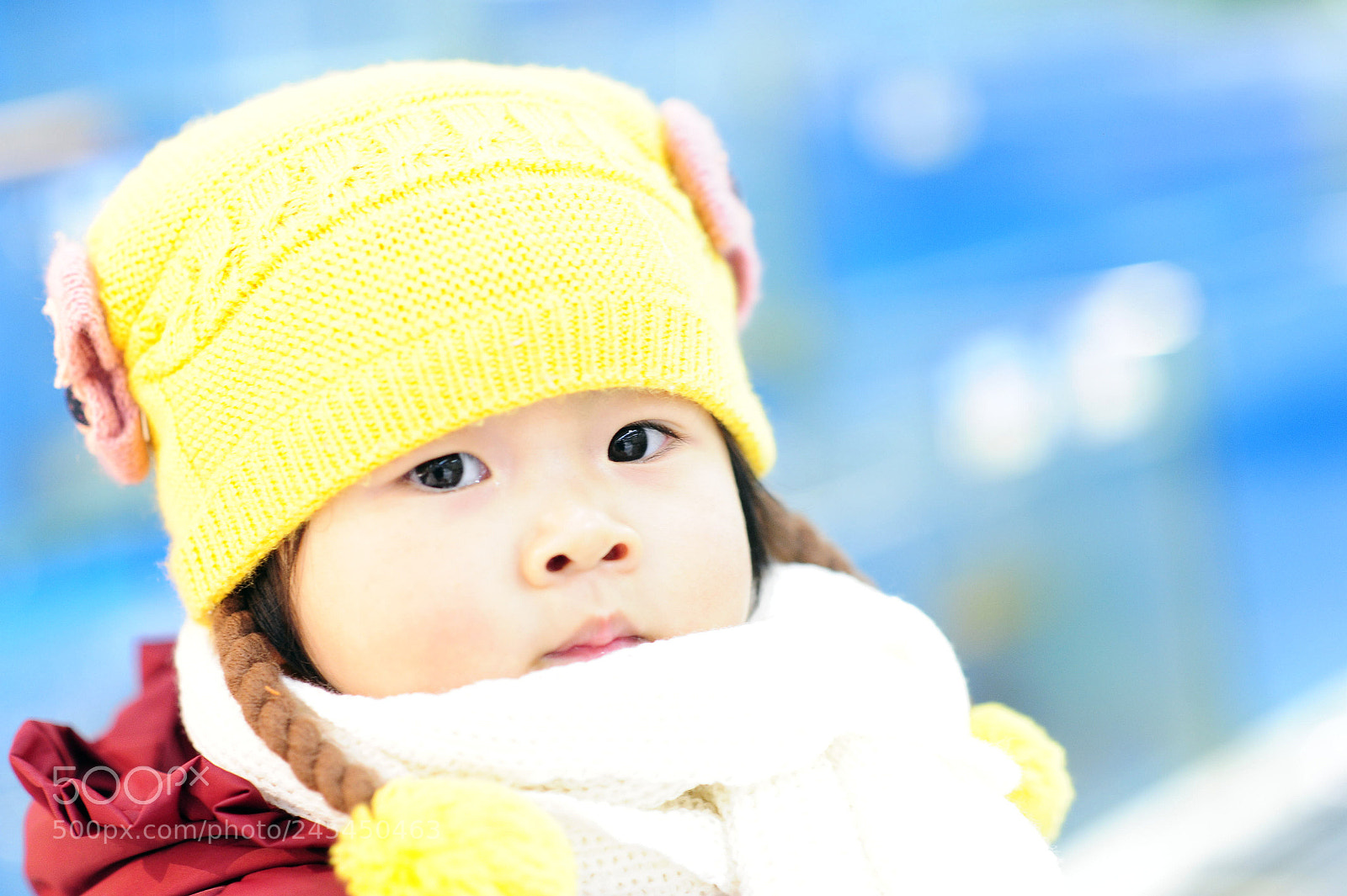 Nikon D700 sample photo. Untitled photography