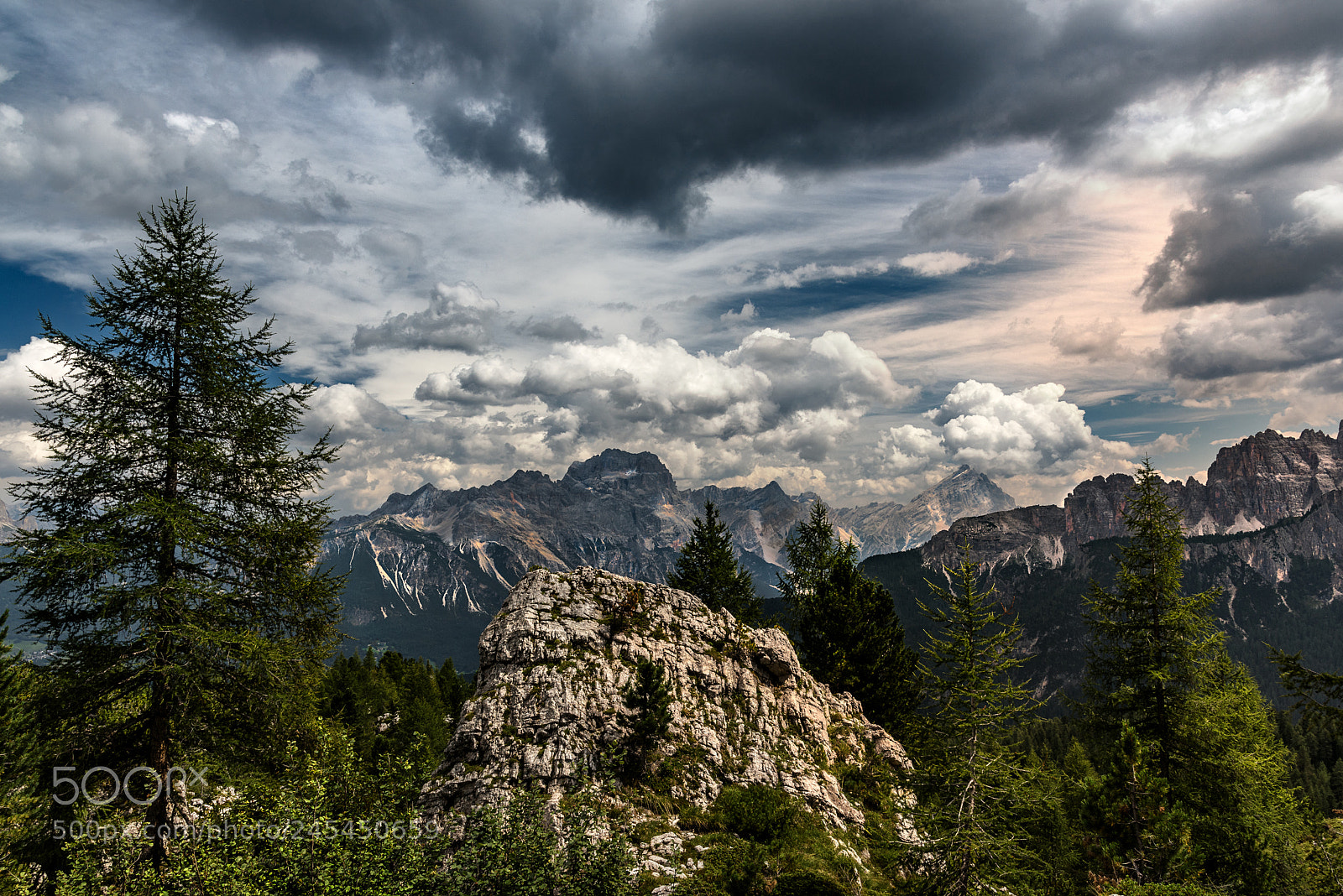 Nikon D810 sample photo. Viewpoint photography