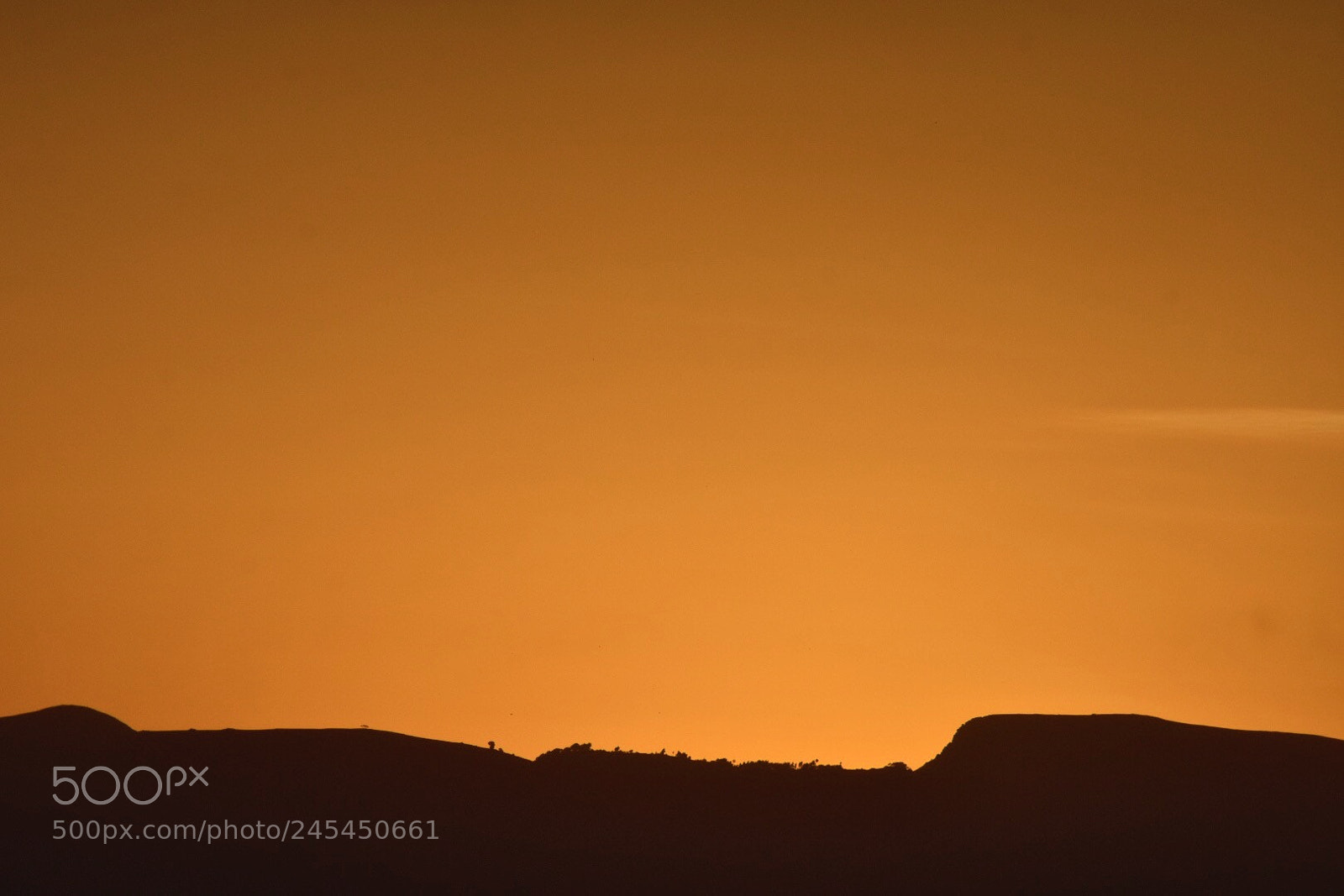 Nikon D7200 sample photo. This evening sunset photography
