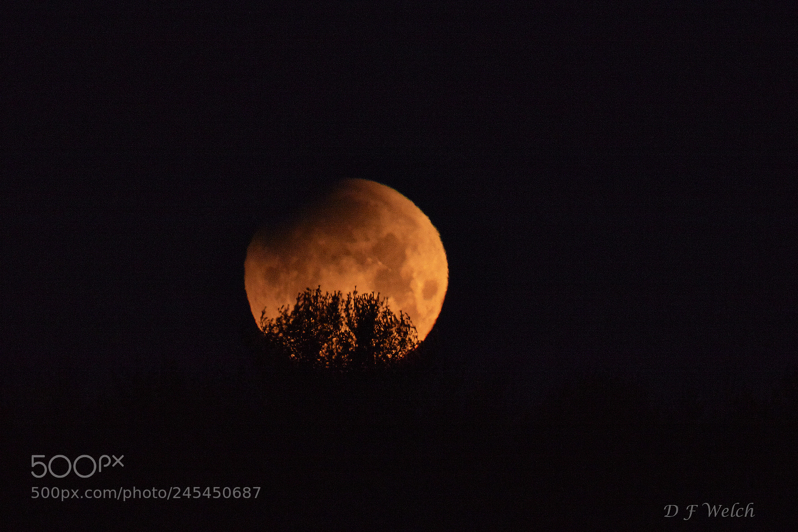Canon EOS 7D Mark II sample photo. Super blue blood moon photography