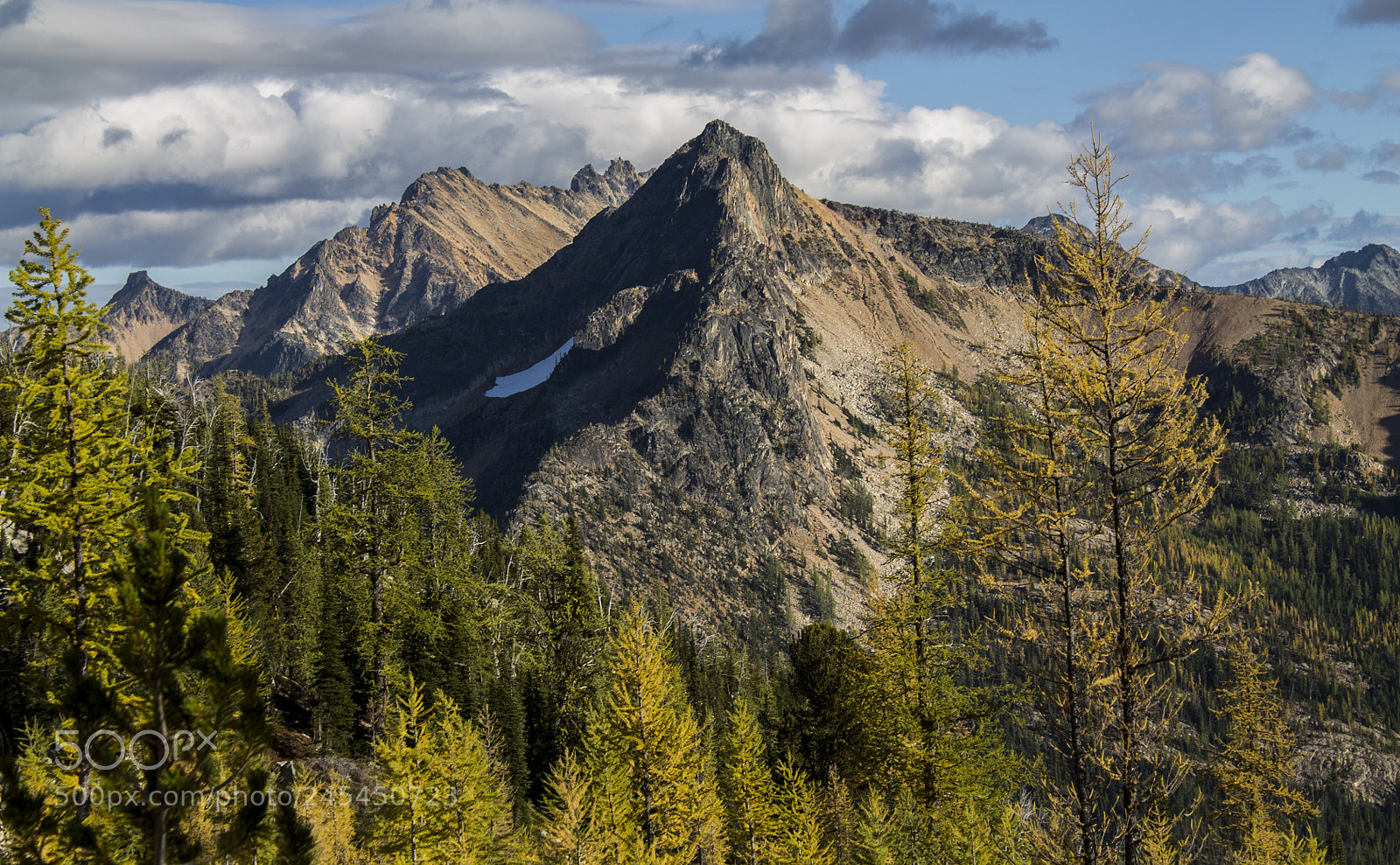 Canon EOS 1100D (EOS Rebel T3 / EOS Kiss X50) sample photo. Larches on the march photography
