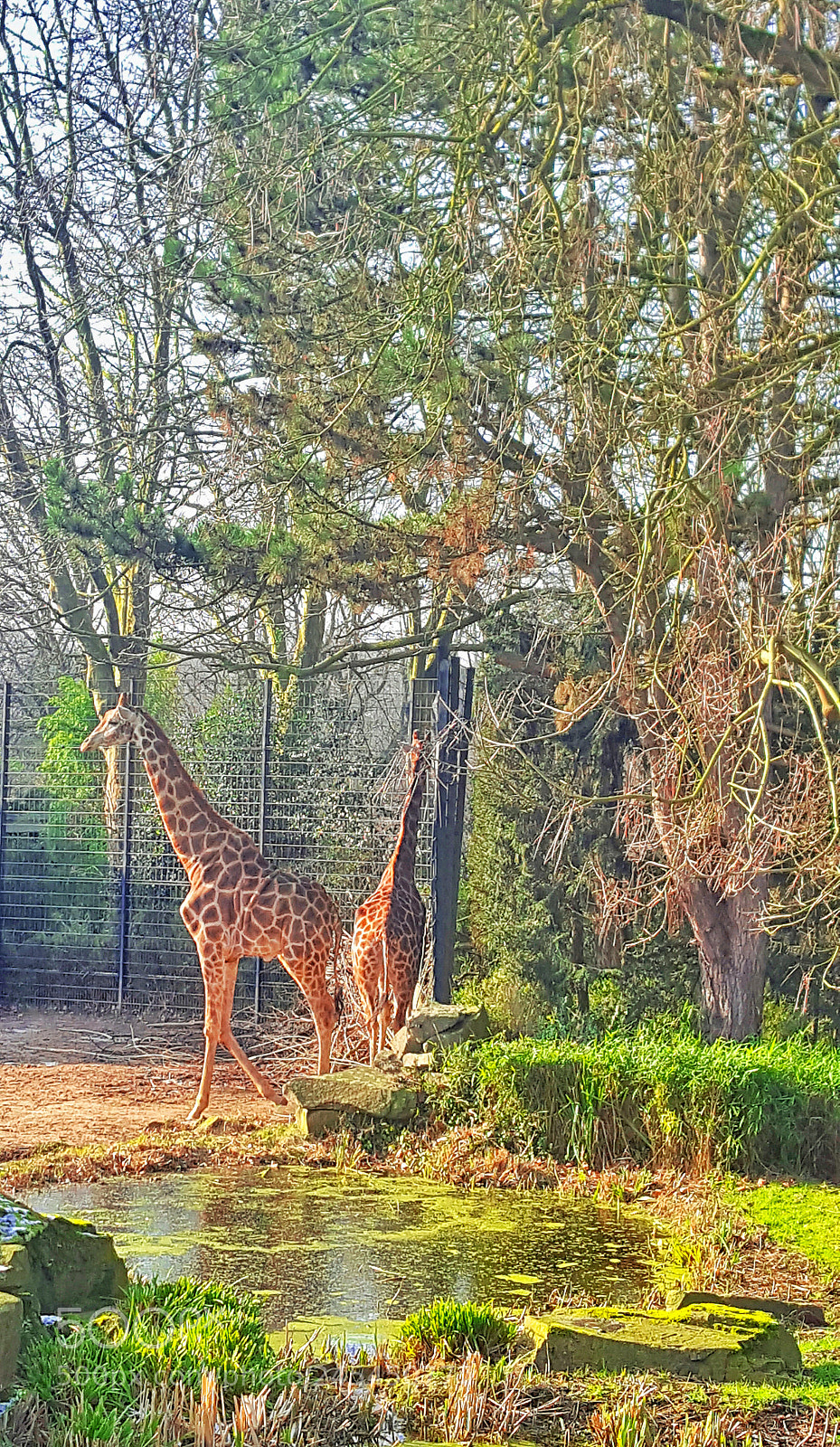 Samsung Galaxy S6 sample photo. Untitled photography
