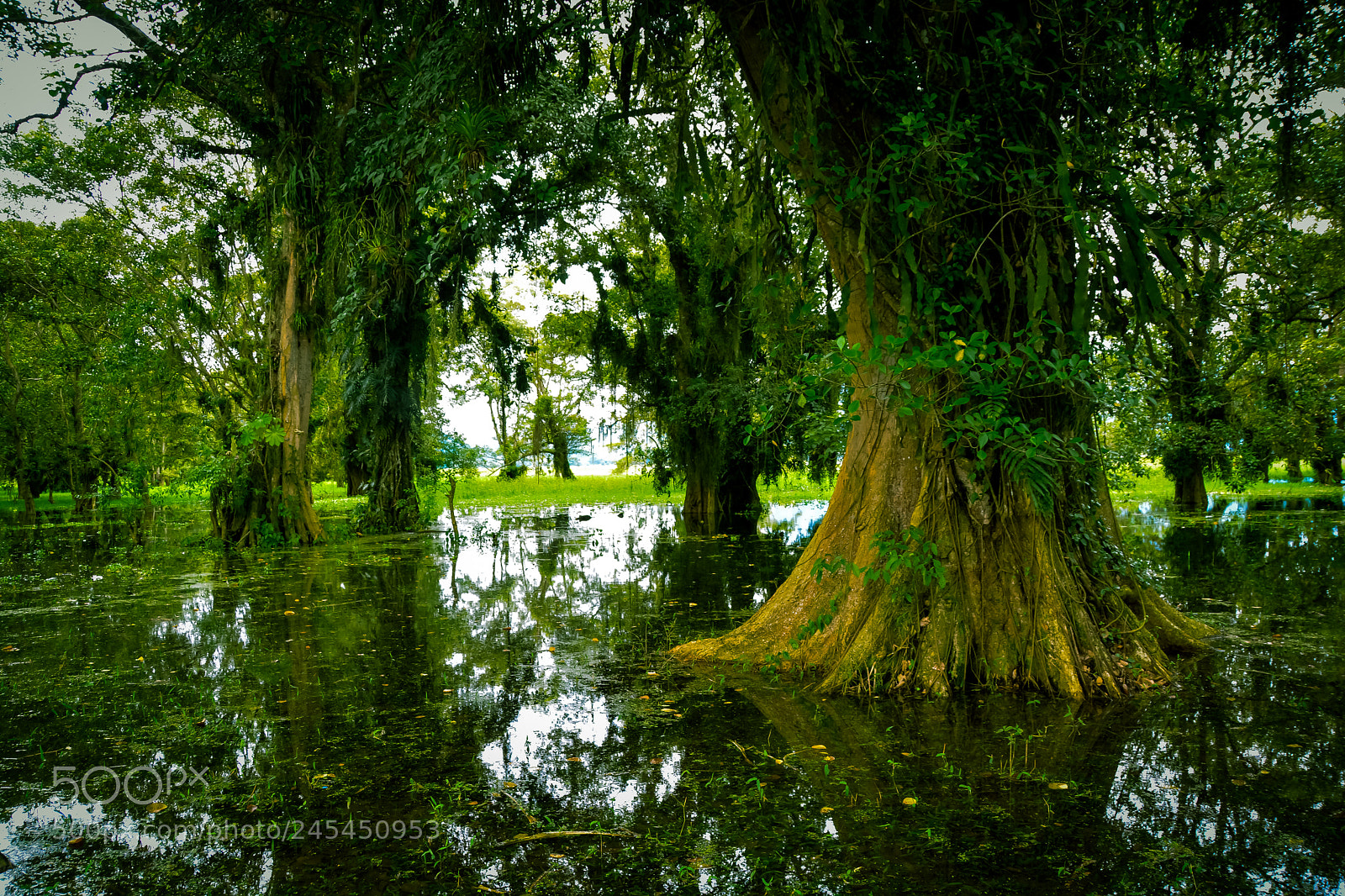 Nikon D7100 sample photo. Lago de  yojoa photography
