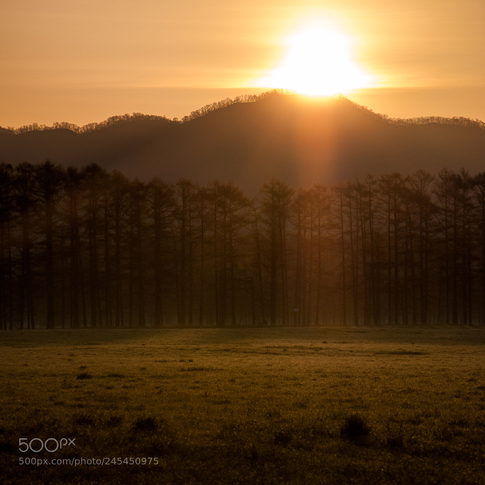 Nikon D90 sample photo. Morning sun photography