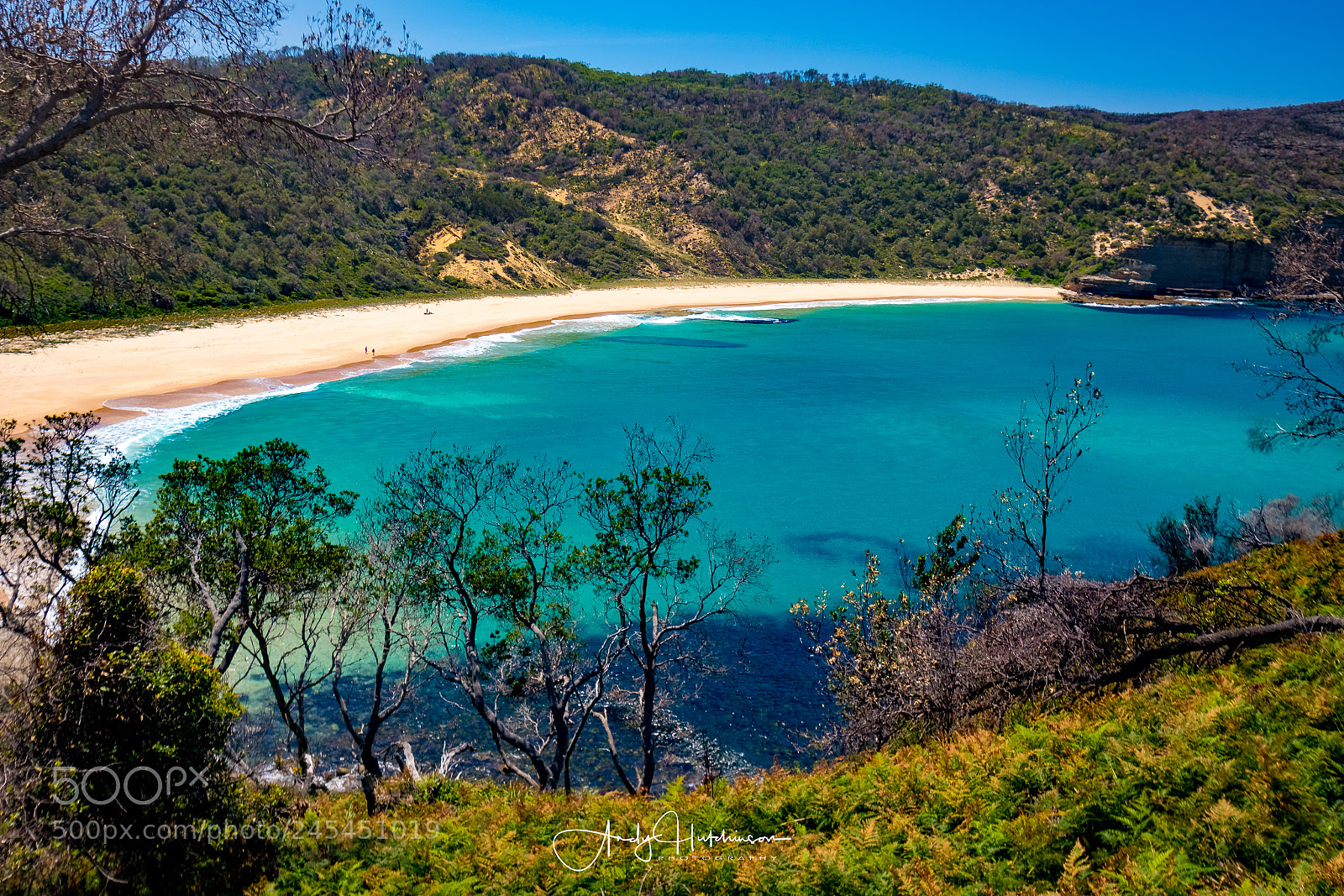 Canon EOS 7D Mark II sample photo. Steamers beach photography