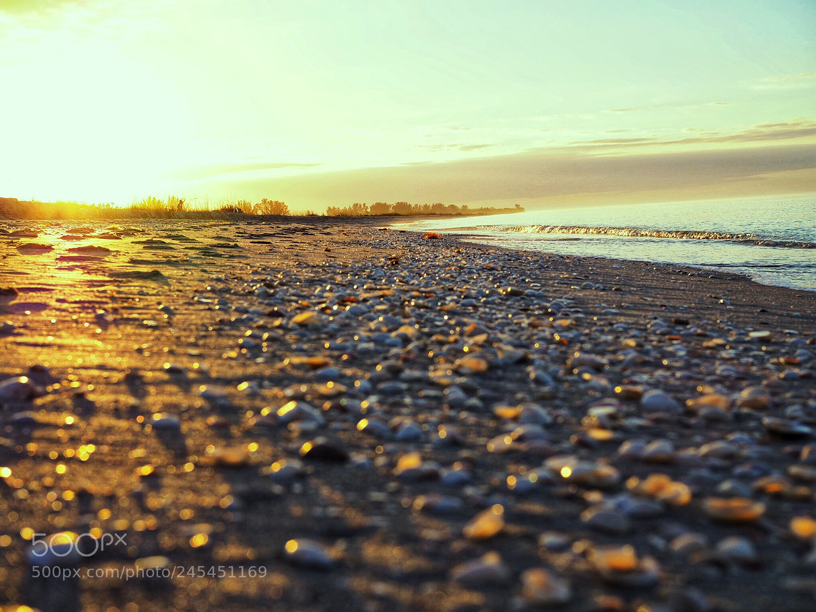 Olympus OM-D E-M10 II sample photo. Bowman's beach photography