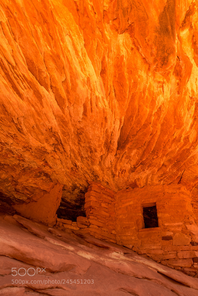 Nikon D600 sample photo. The roof is on photography