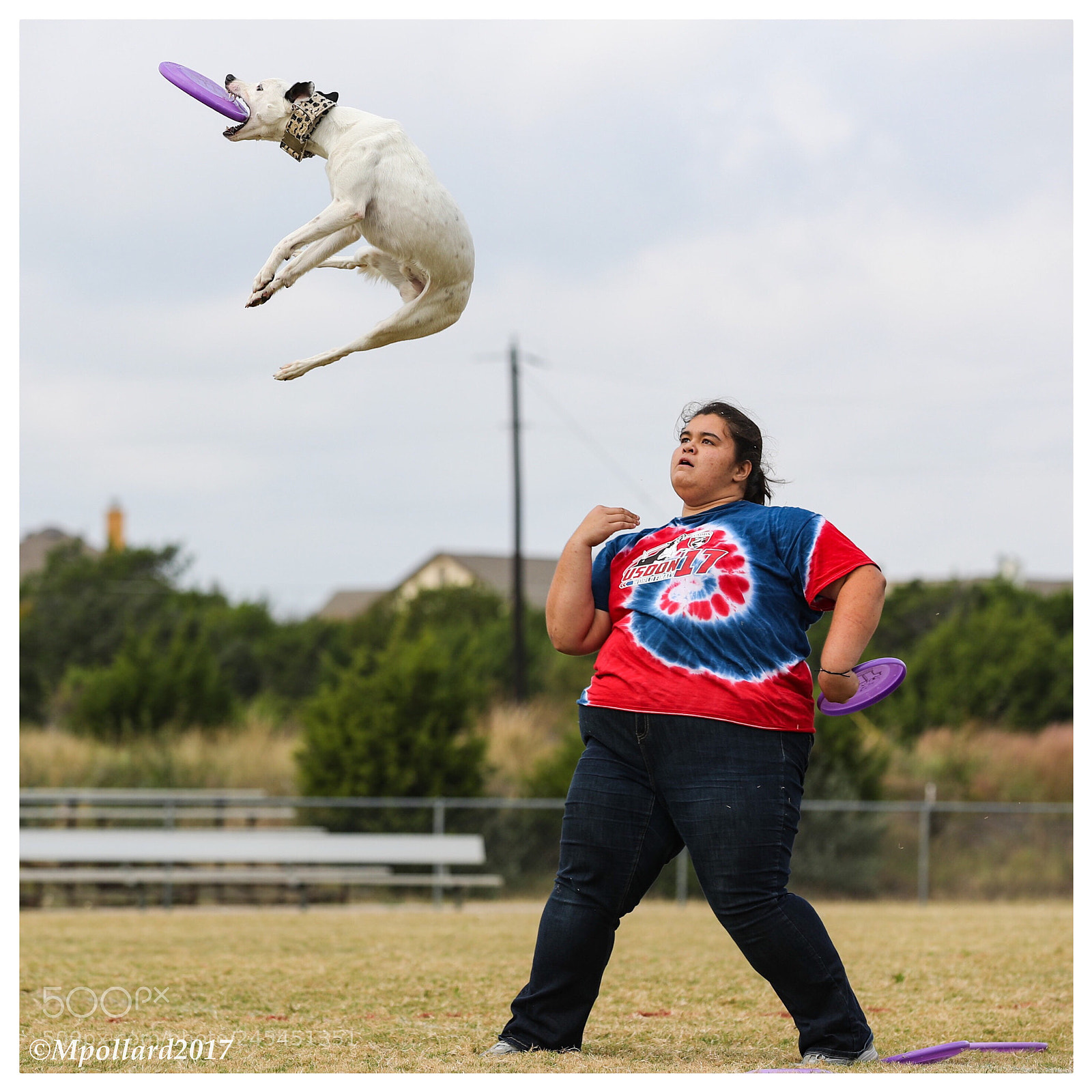 Canon EOS-1D X Mark II sample photo. Updog challenge photography