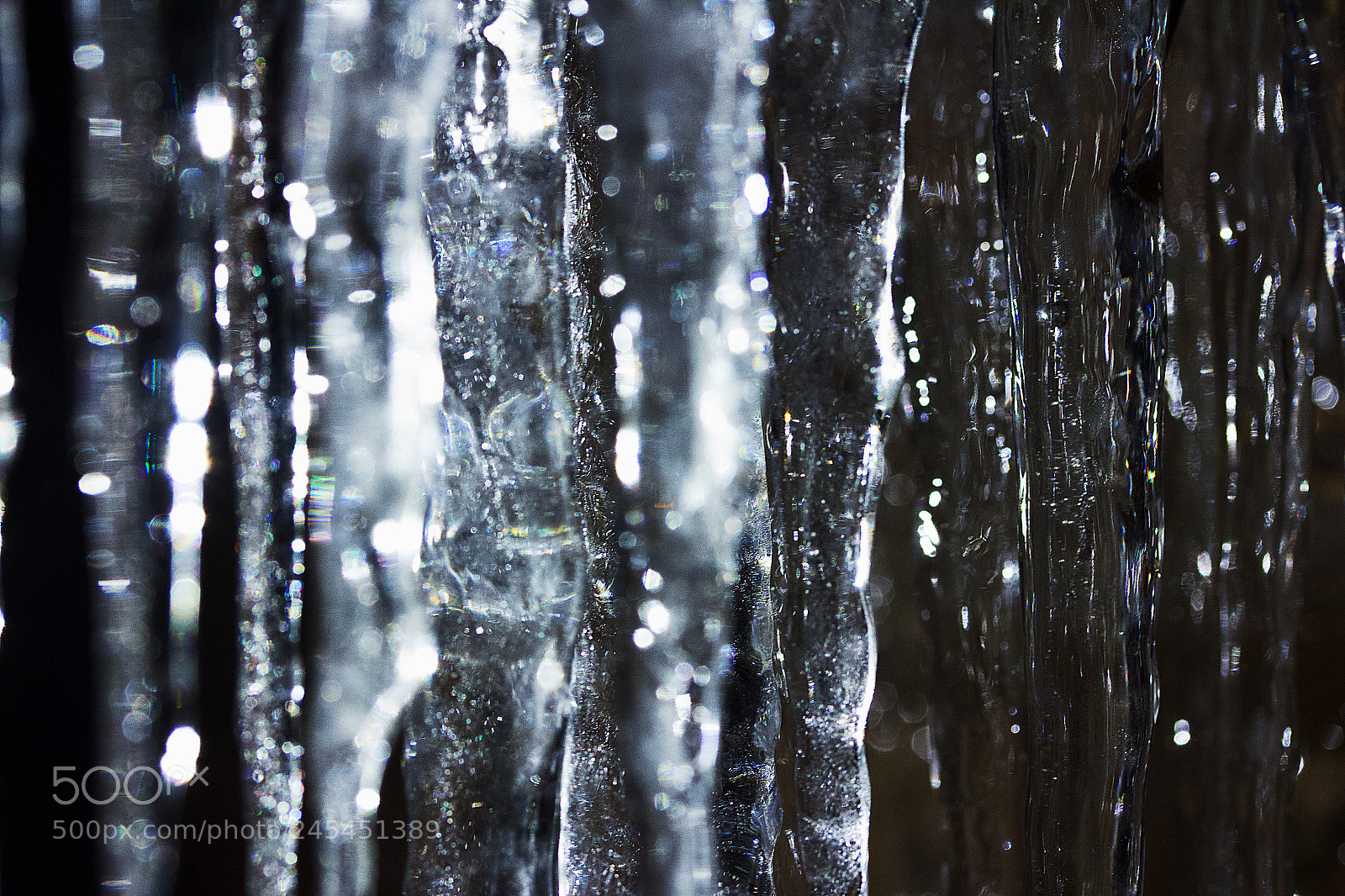 Canon EOS 550D (EOS Rebel T2i / EOS Kiss X4) sample photo. Icy spectacles - 4 photography