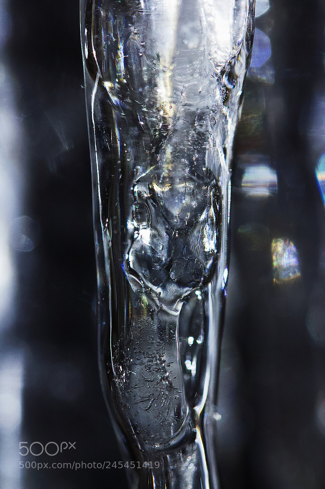 Canon EOS 550D (EOS Rebel T2i / EOS Kiss X4) sample photo. Icy spectacles - 8 photography