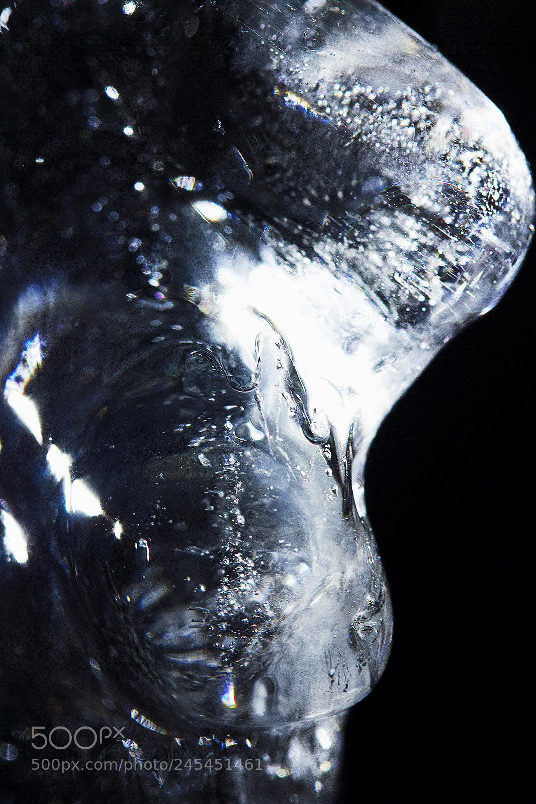 Canon EOS 550D (EOS Rebel T2i / EOS Kiss X4) sample photo. Icy spectacles - 12 photography