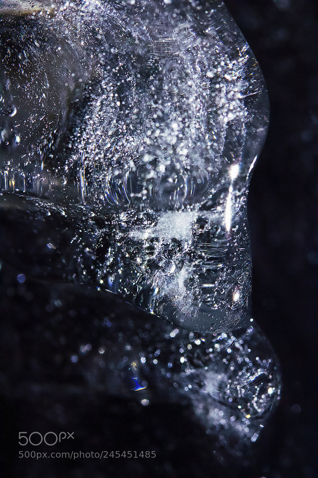 Canon EOS 550D (EOS Rebel T2i / EOS Kiss X4) sample photo. Icy spectacles - 16 photography