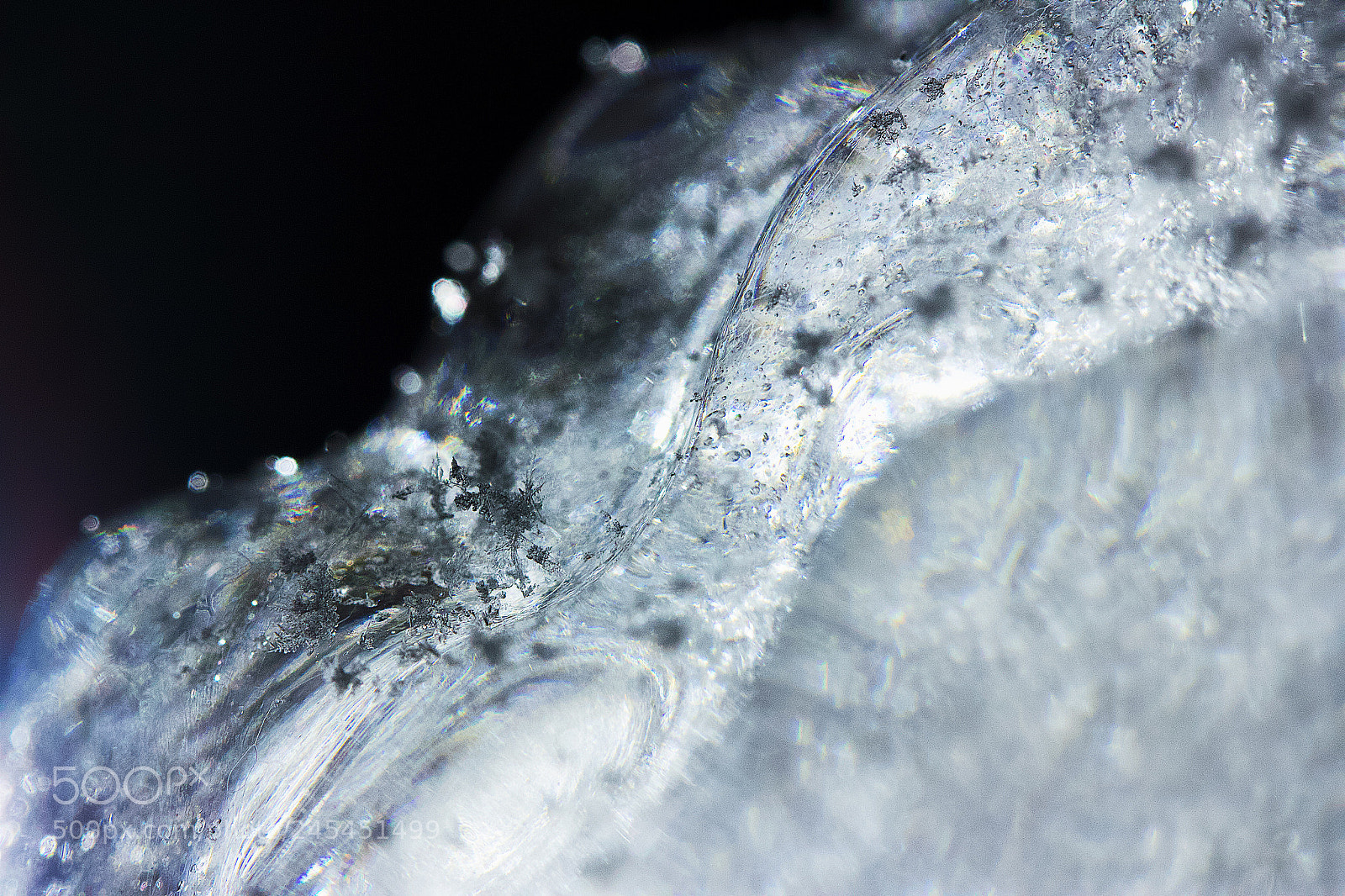 Canon EOS 550D (EOS Rebel T2i / EOS Kiss X4) sample photo. Icy spectacles - 18 photography