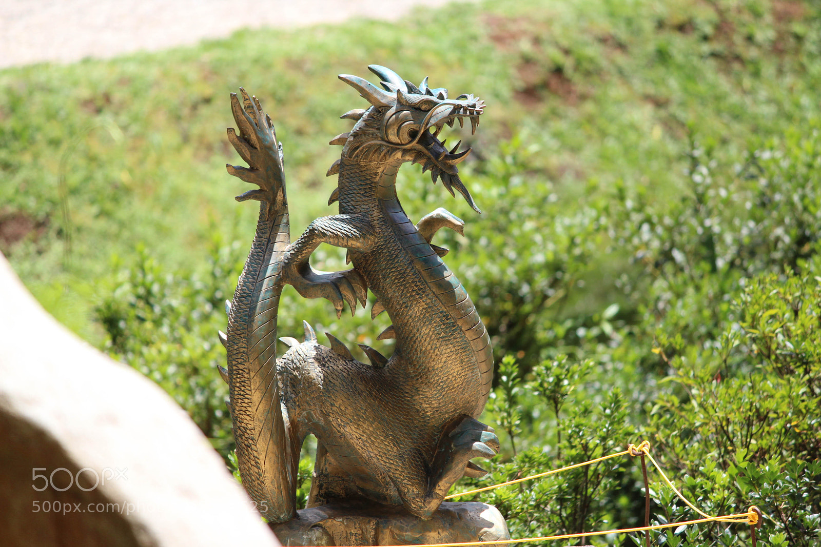 Canon EOS 1200D (EOS Rebel T5 / EOS Kiss X70 / EOS Hi) sample photo. Dragon photography