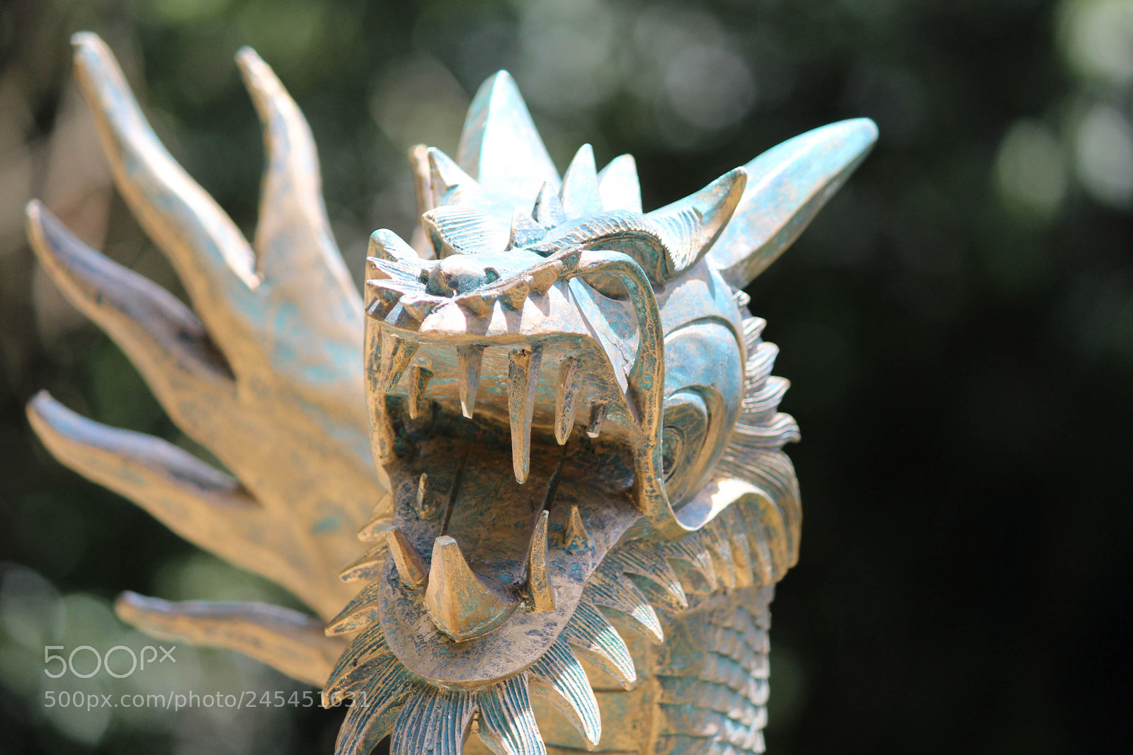 Canon EOS 1200D (EOS Rebel T5 / EOS Kiss X70 / EOS Hi) sample photo. Dragon photography