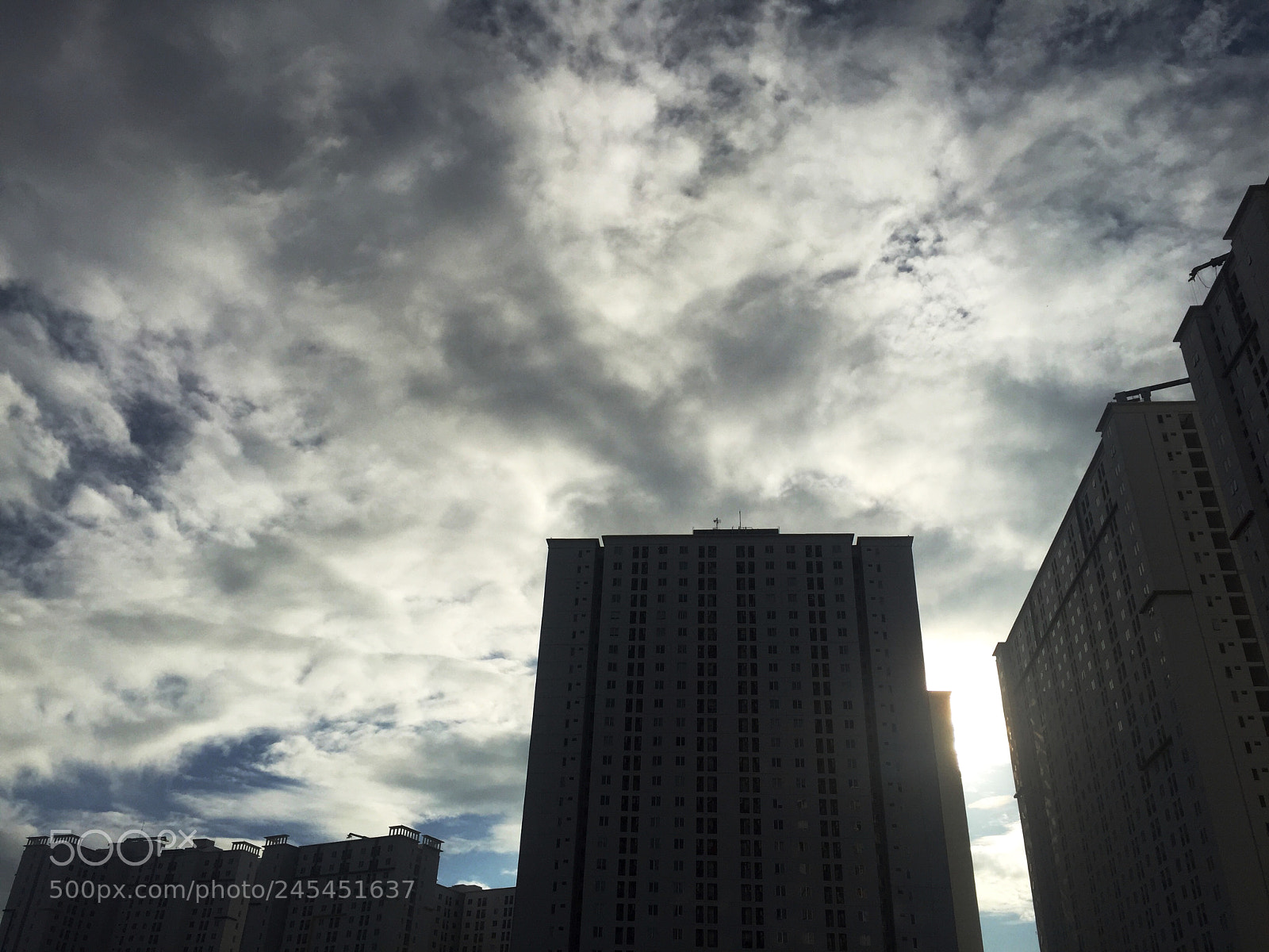 Apple iPhone 6 sample photo. Untitled photography