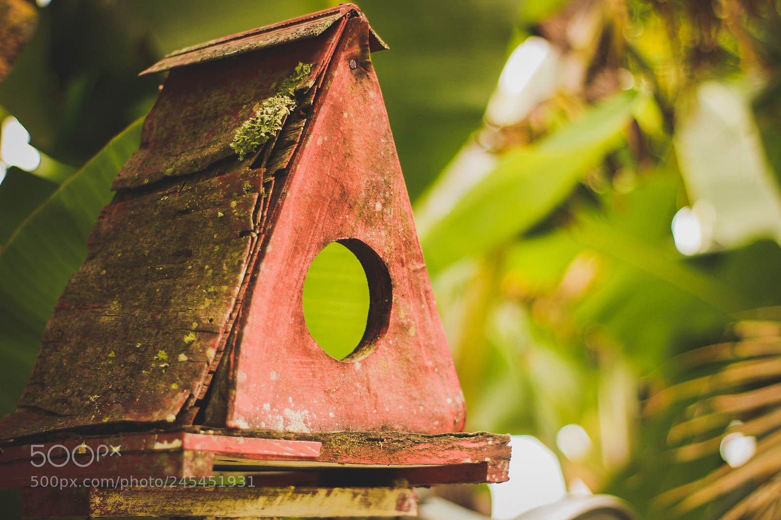 Canon EOS 600D (Rebel EOS T3i / EOS Kiss X5) sample photo. Bird house photography
