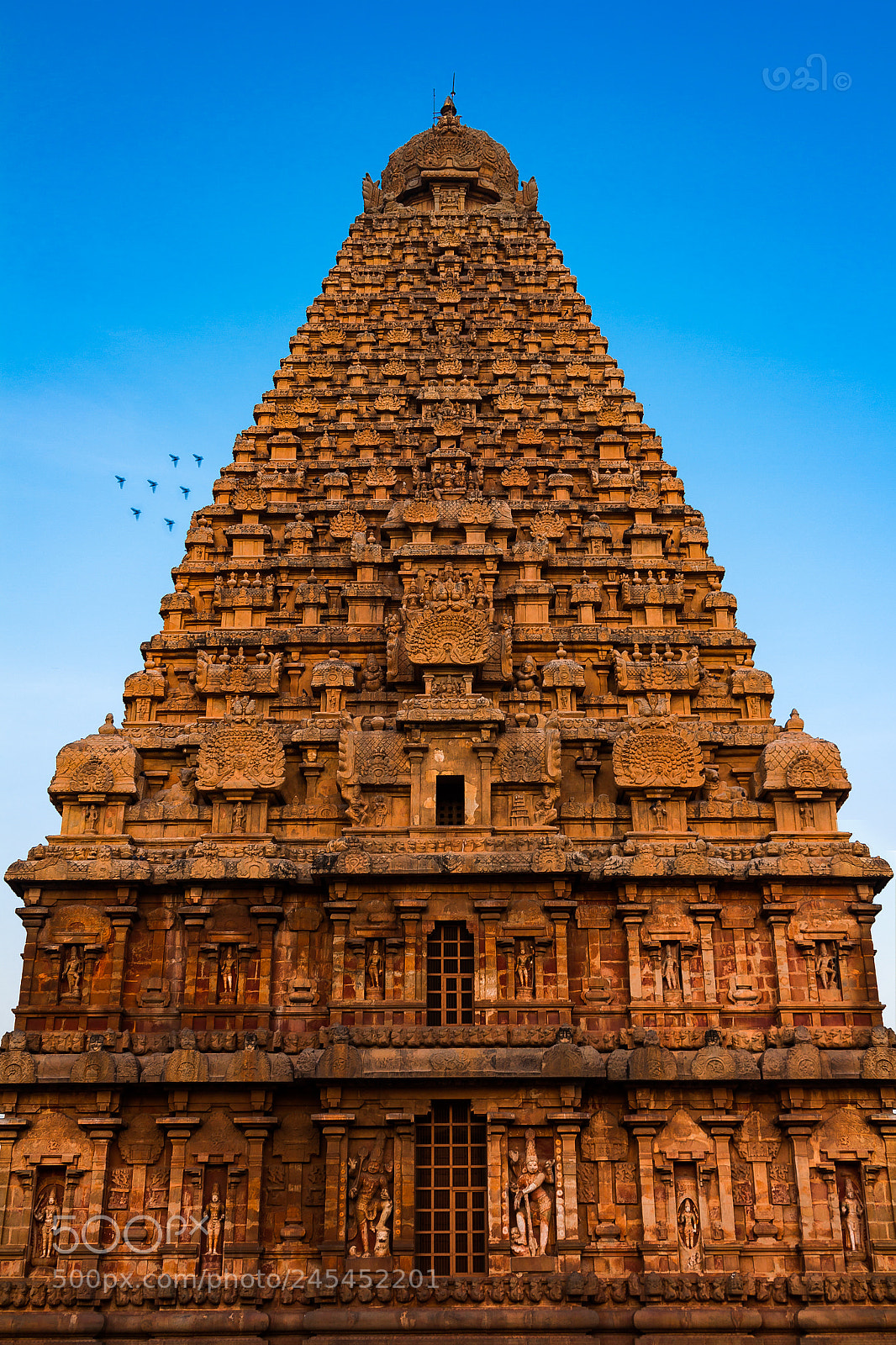 Canon EOS 550D (EOS Rebel T2i / EOS Kiss X4) sample photo. Brihadisvara temple, thanjavur photography